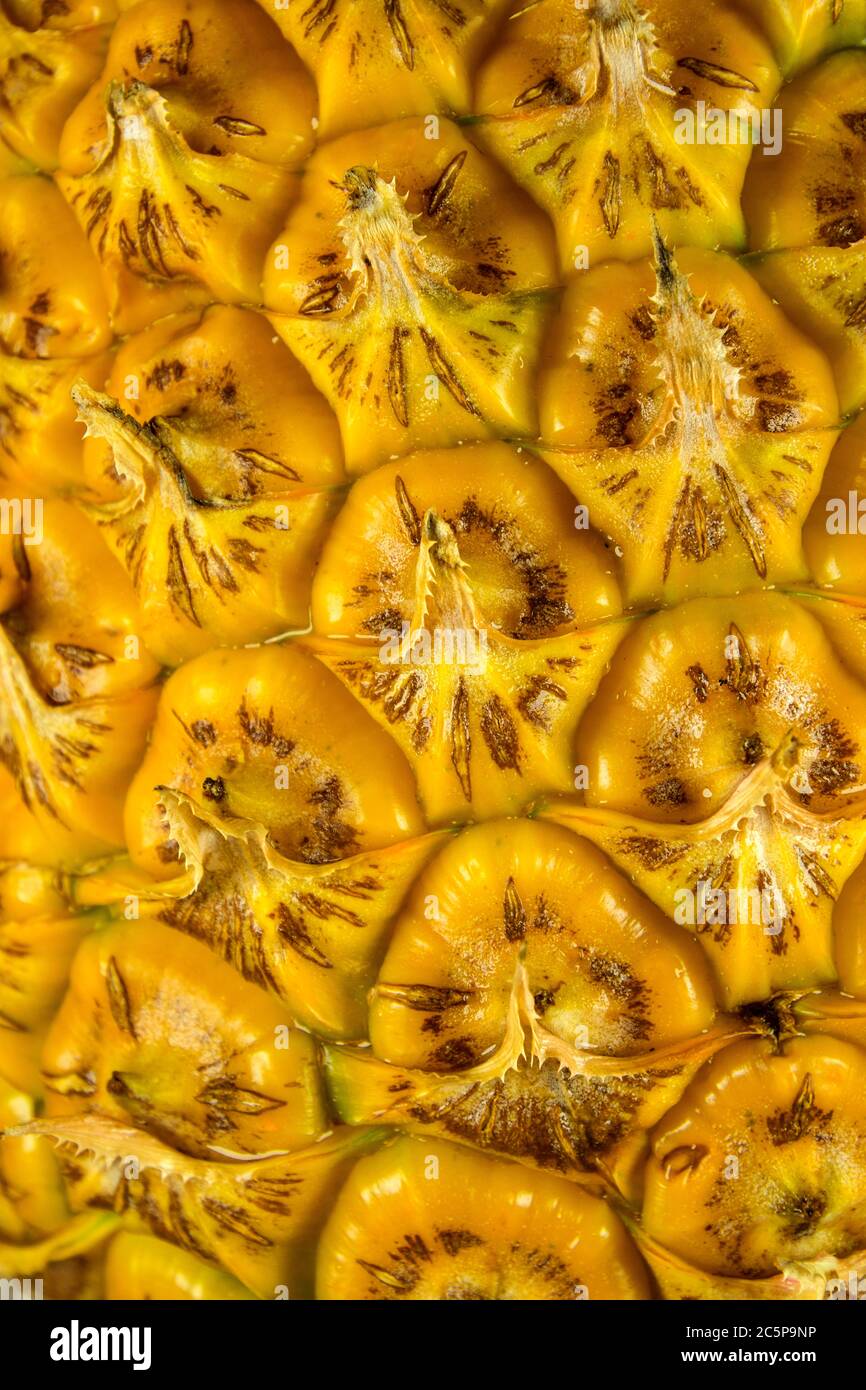 Closeup of a ripe pineapple bark background Stock Photo