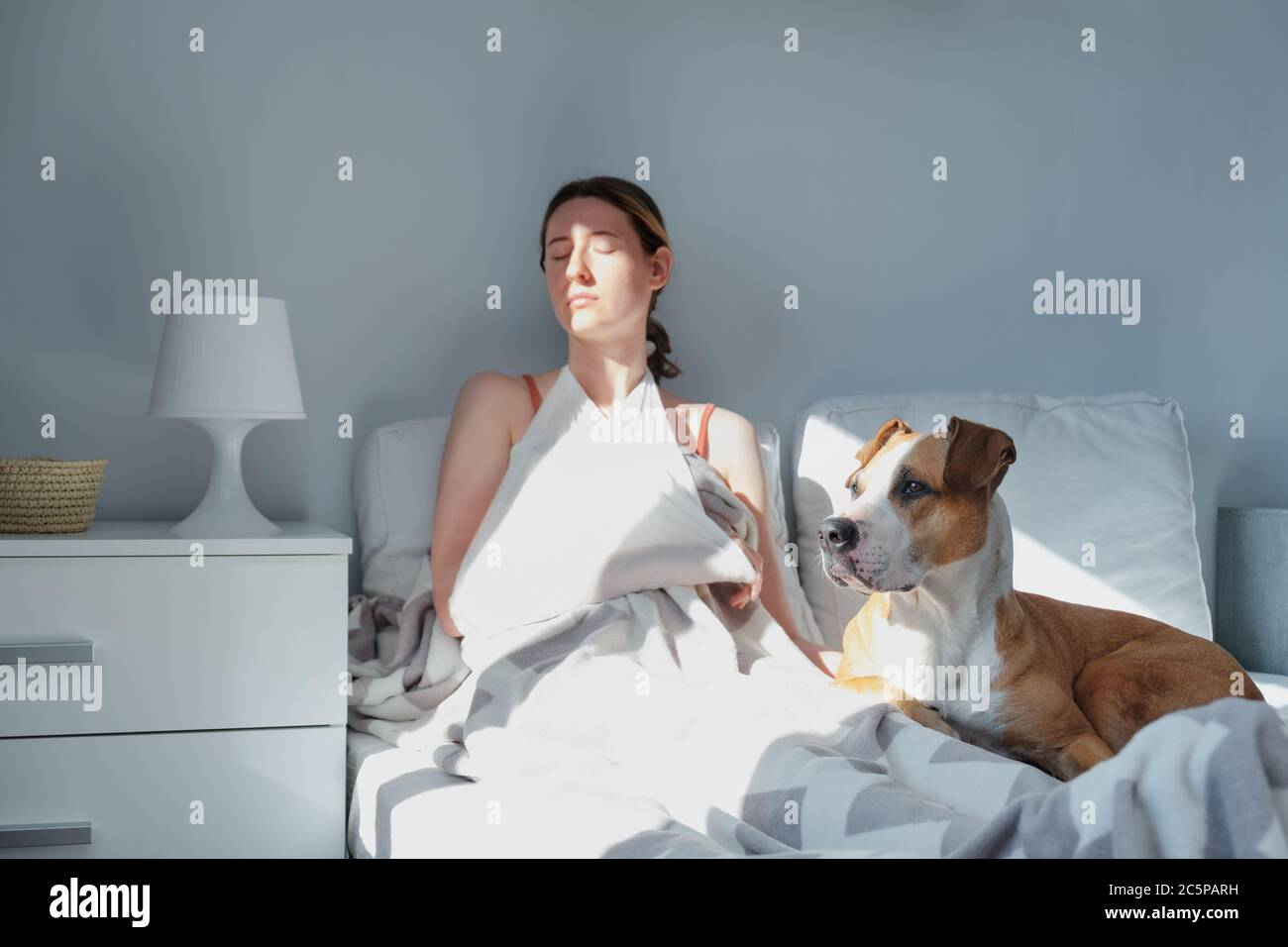 Sick woman with hurt arm in bed with a dog. Caucasian female adult in bright sun-lit room rests with her pet, concept of self treatment, medical treat Stock Photo