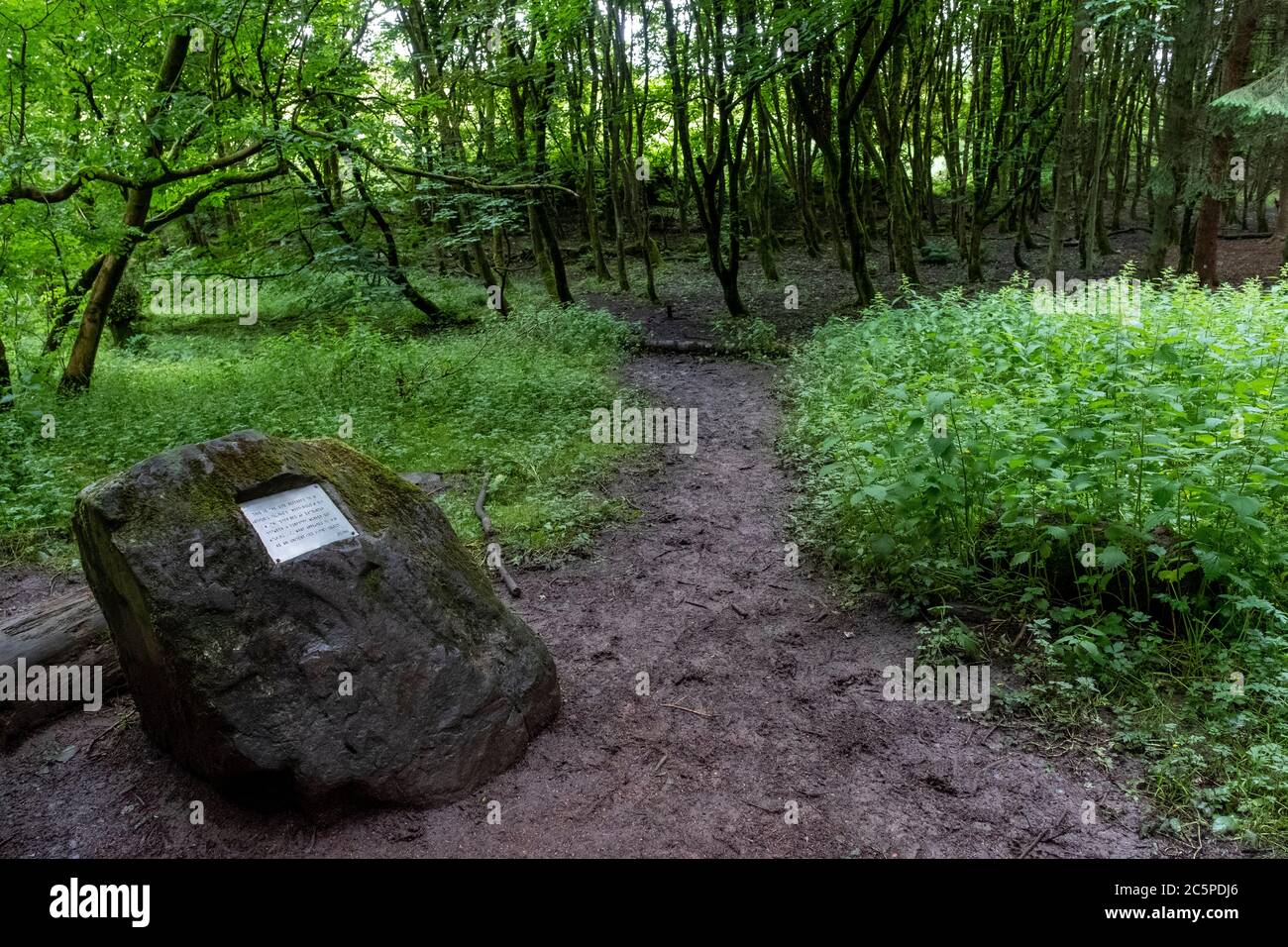 Plaque marking the spot of a UFO incident in 1979. Forestry worker Robert Taylor reported seeing an alien spaceship in Dechmont Woods near Livingston. Stock Photo