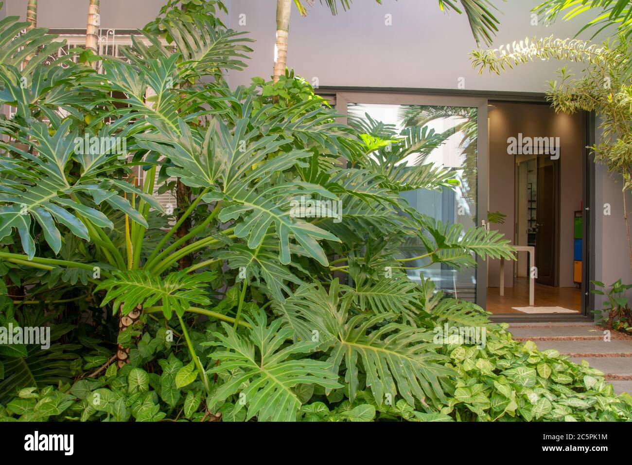 Garden of a modern house Stock Photo