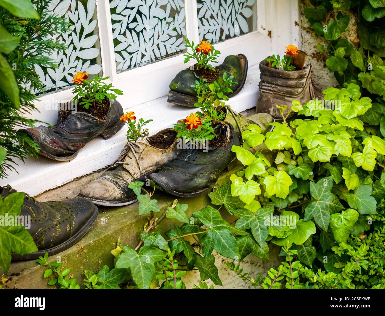 Unusual plant pots hi-res stock photography and images - Alamy