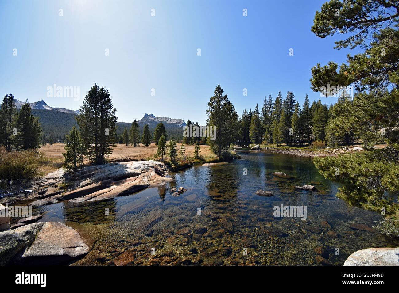 Tuolumne river passing through the sub alpine Tuolumne meadows, with trees and mountains in the background in Yosemite national Park, California Stock Photo