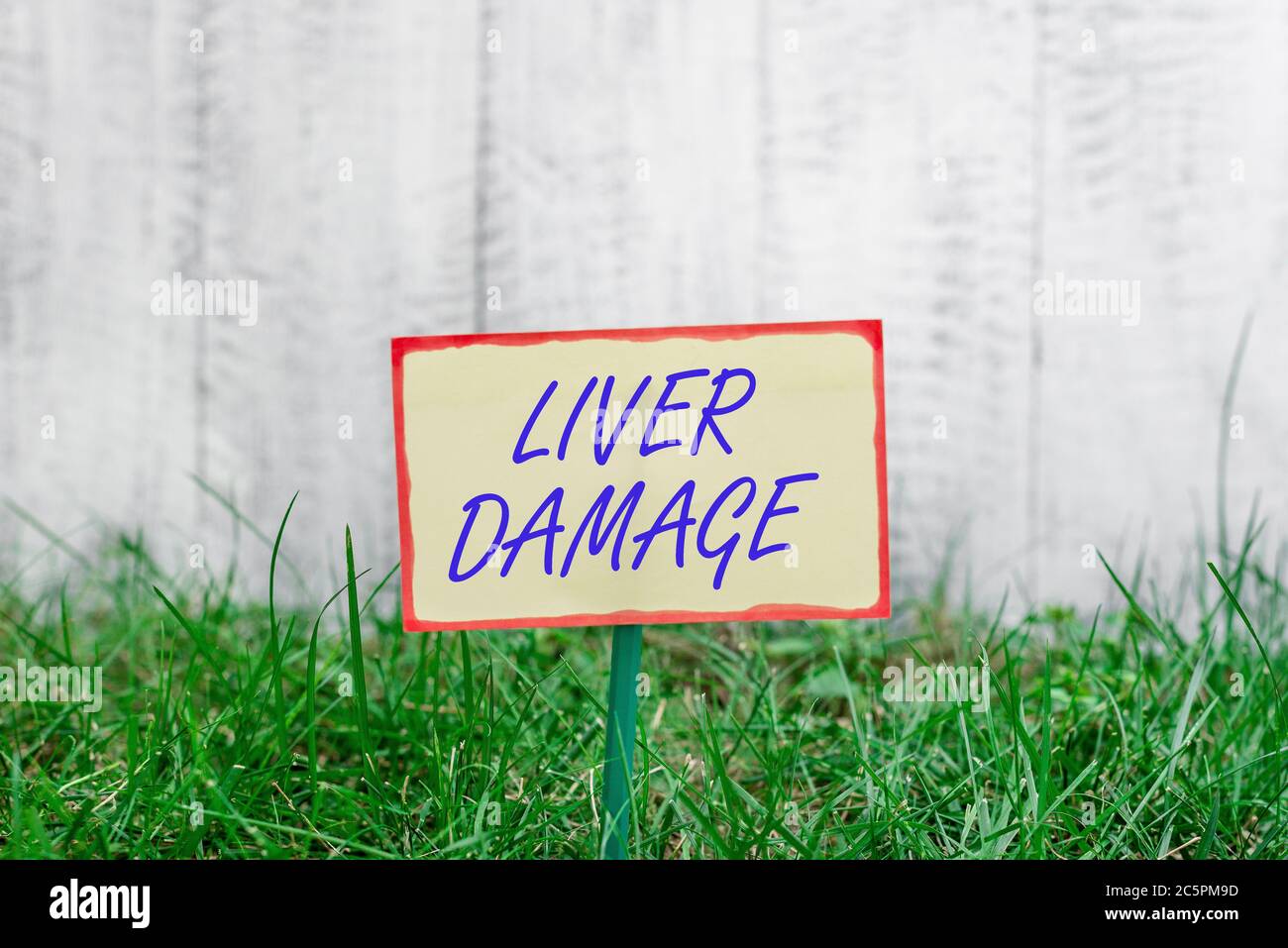 Writing note showing Liver Damage. Business concept for any disorder of