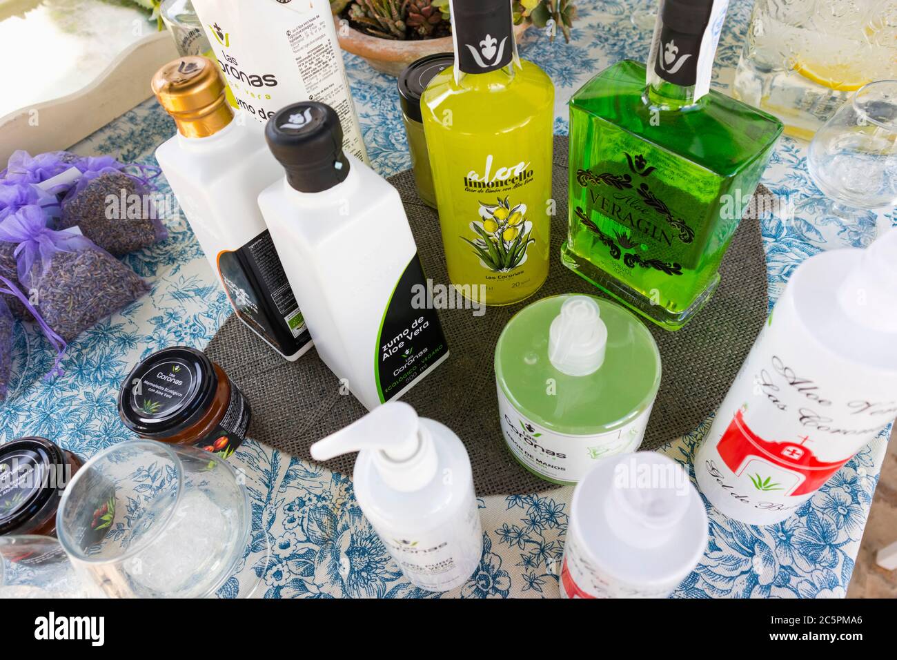 aloe vera pflanze herkunft Aloe Vera - Barbadensis miller main image 0