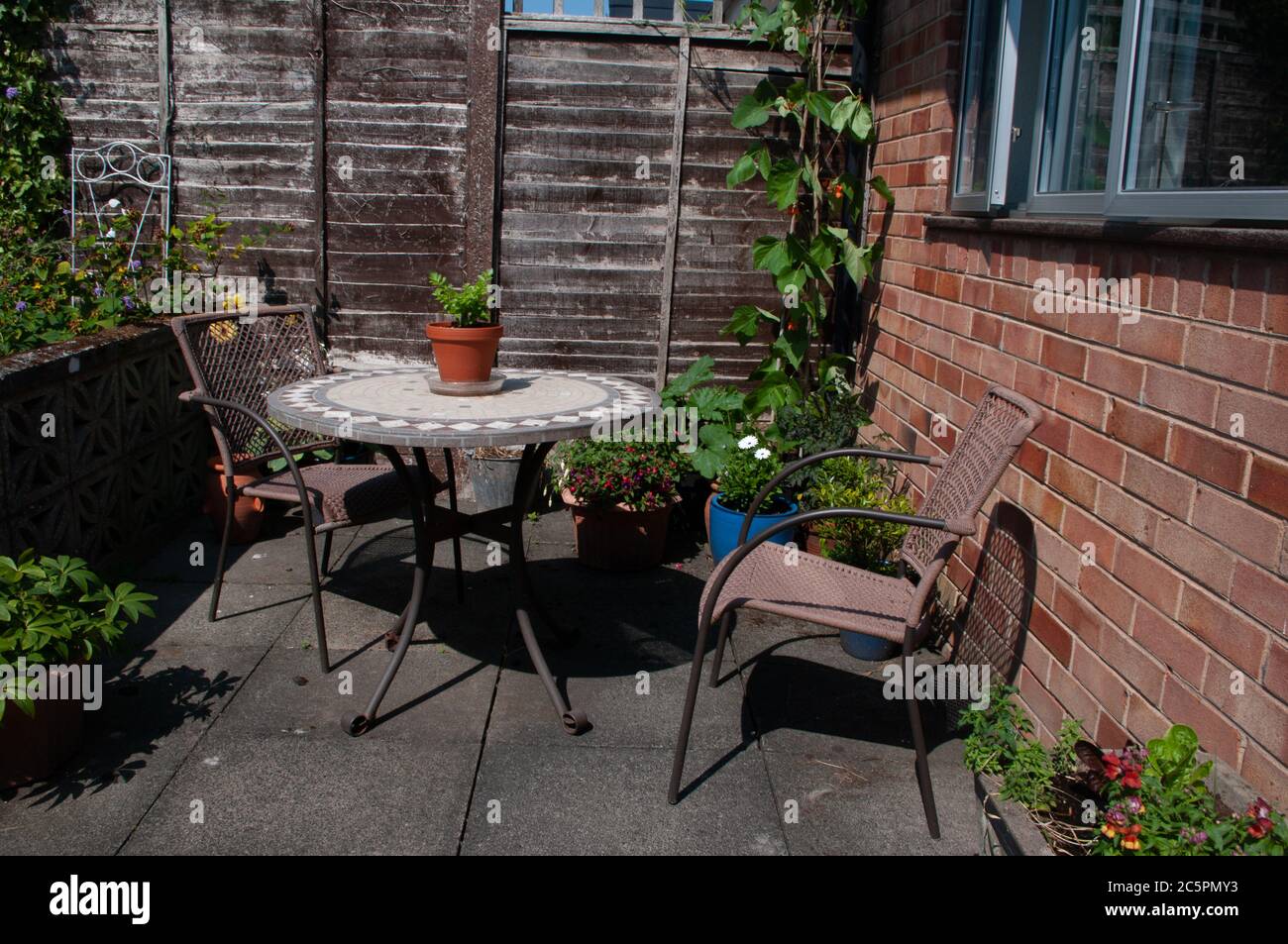 Runner beans, courgette or zucchini and celery growing on garden pation in containers by table and chairs. Stock Photo