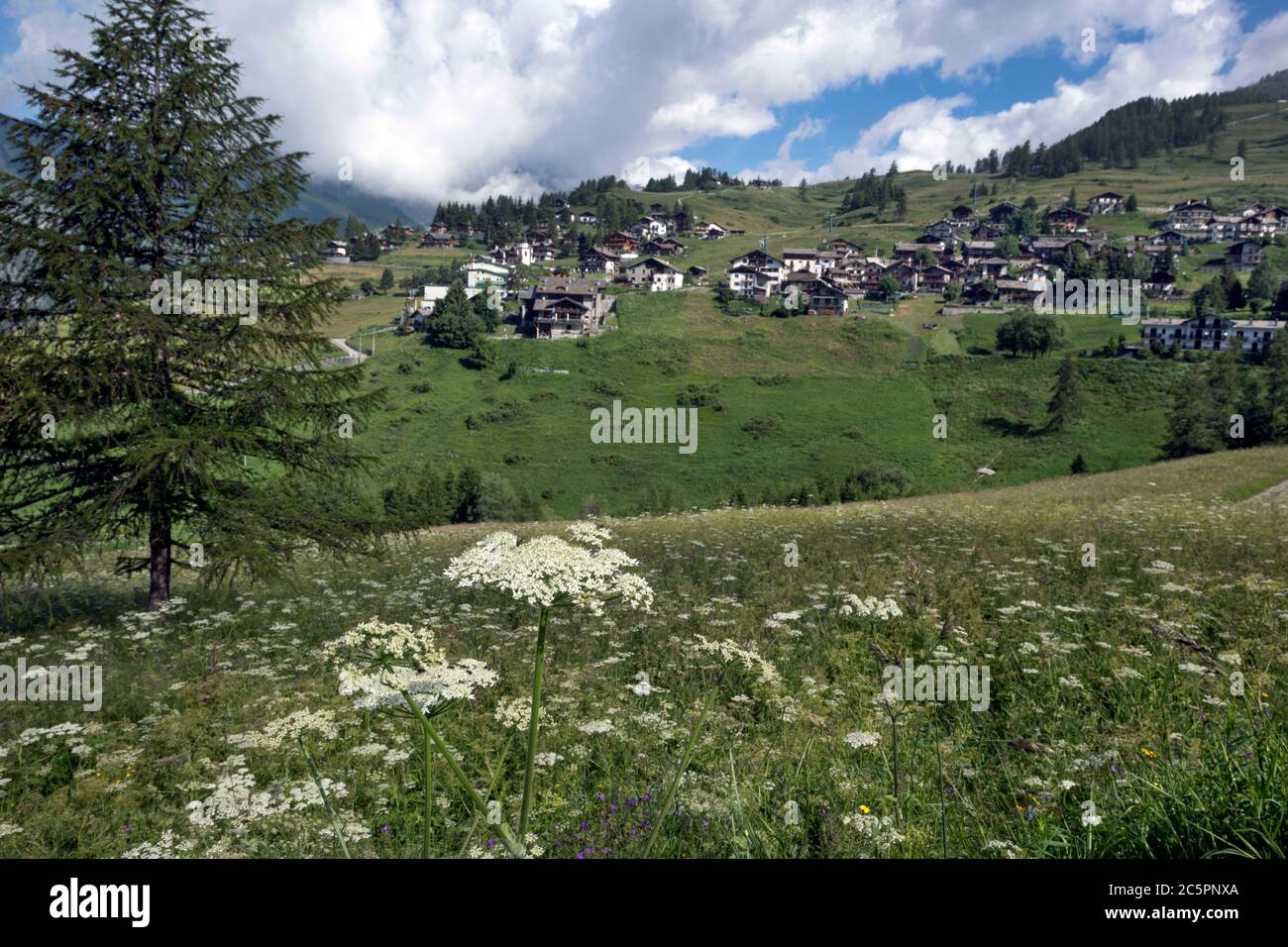 Chamois, Aosta valley, Italy Stock Photo