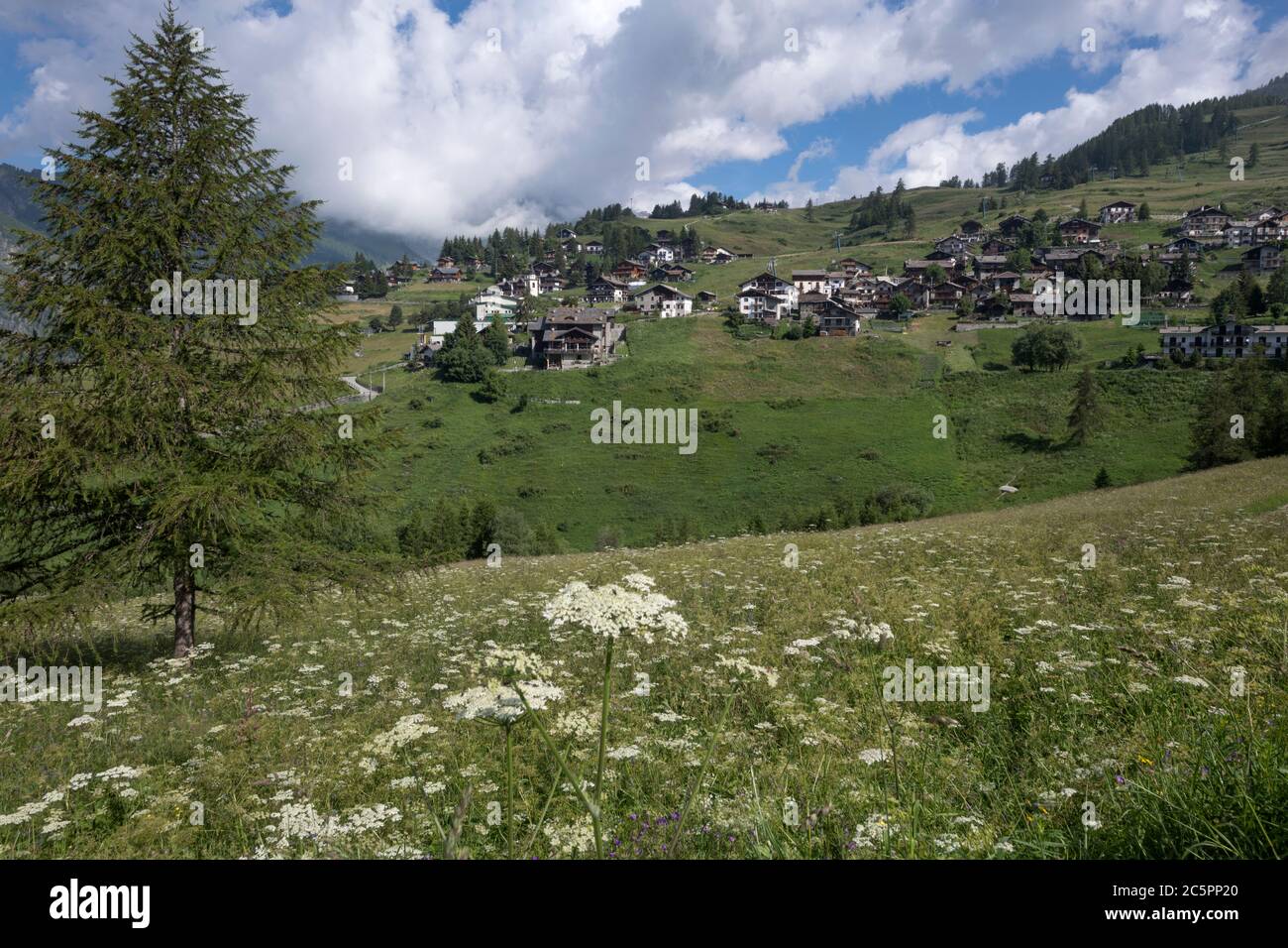 Chamois, Aosta valley, Italy Stock Photo