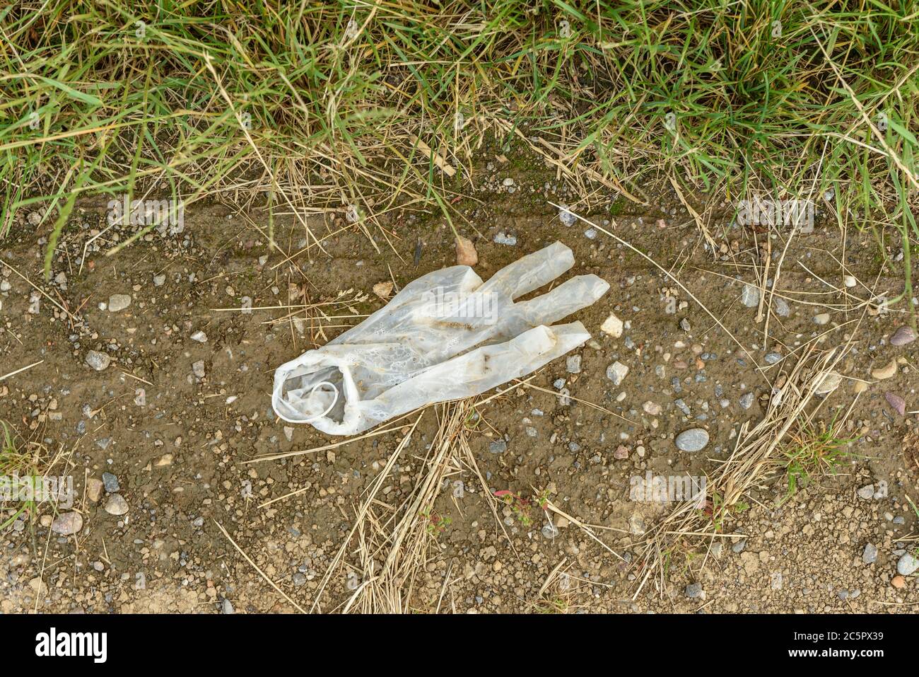 Protective glove thrown in nature at the edge of a walking path Stock Photo
