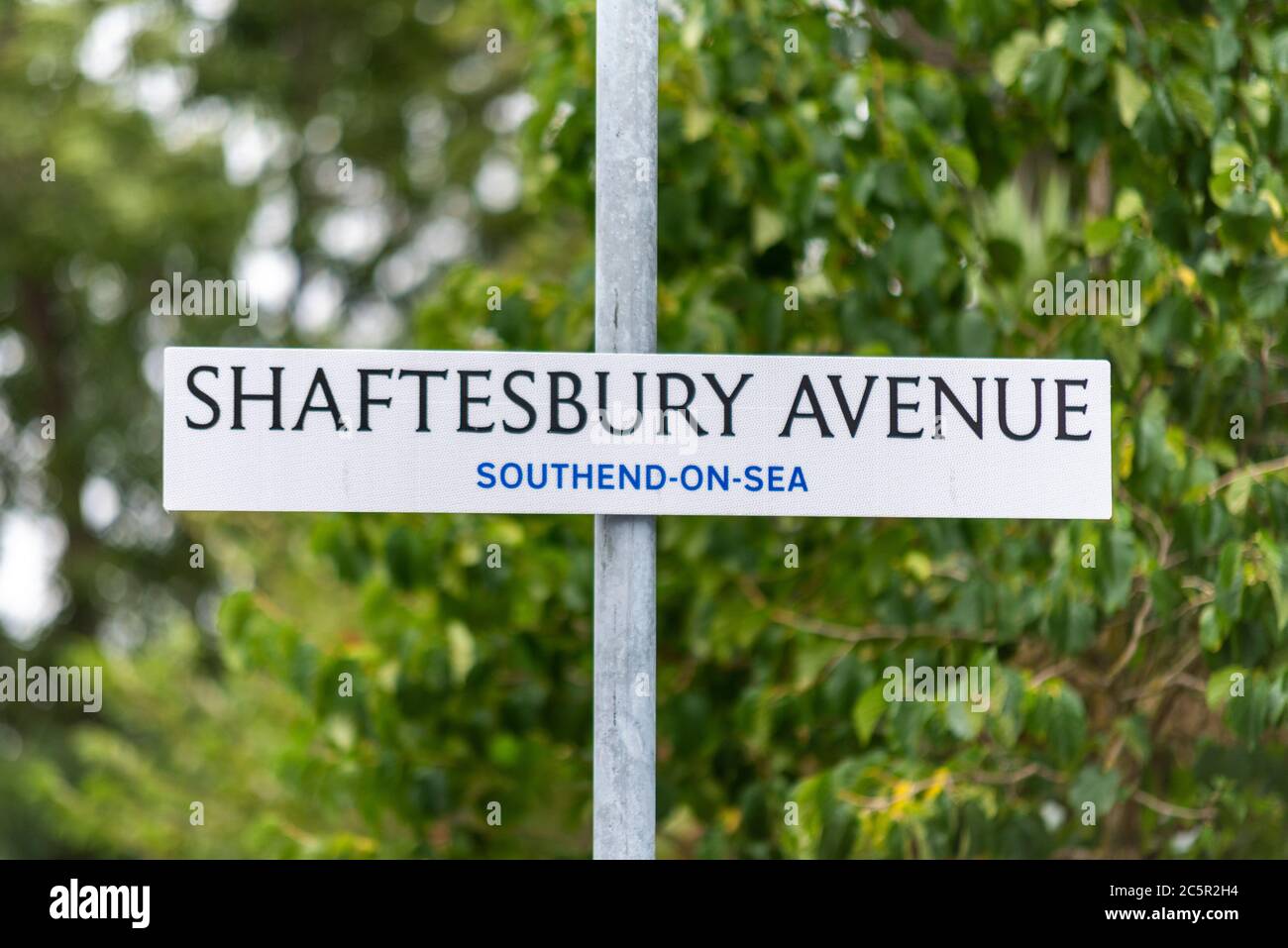 Shaftesbury Avenue signpost in Southend on Sea, Essex, UK. Road sign