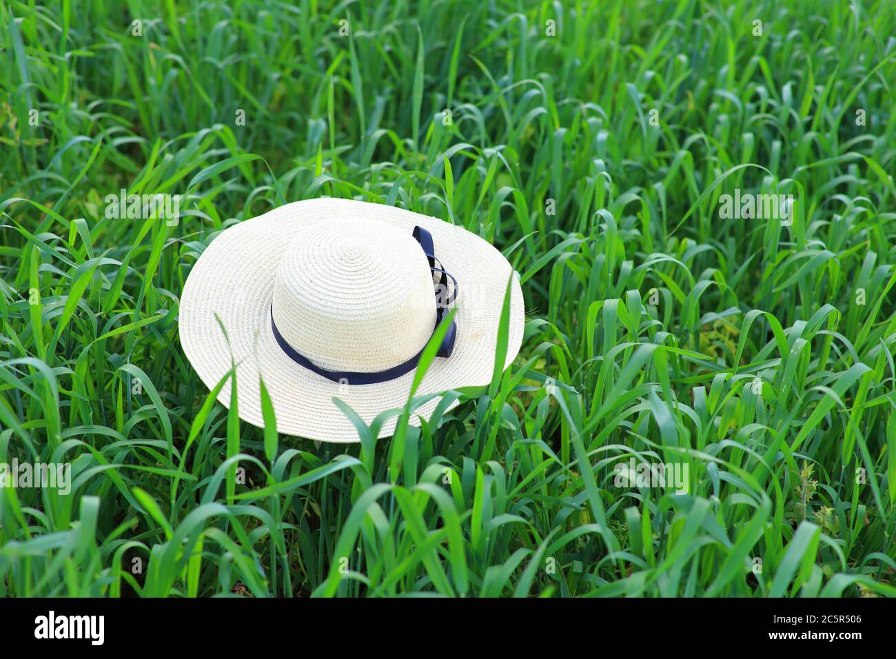 Big bright hat lies on the green grass in the field Stock Photo