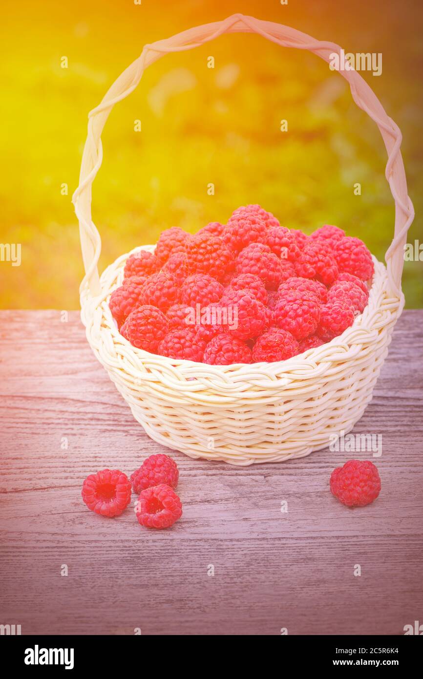 Raspberries in basket on the table. Ripe berry. Vintage basket with raspberries in the garden. Healthy and tasty food. Red raspberries. Stock Photo