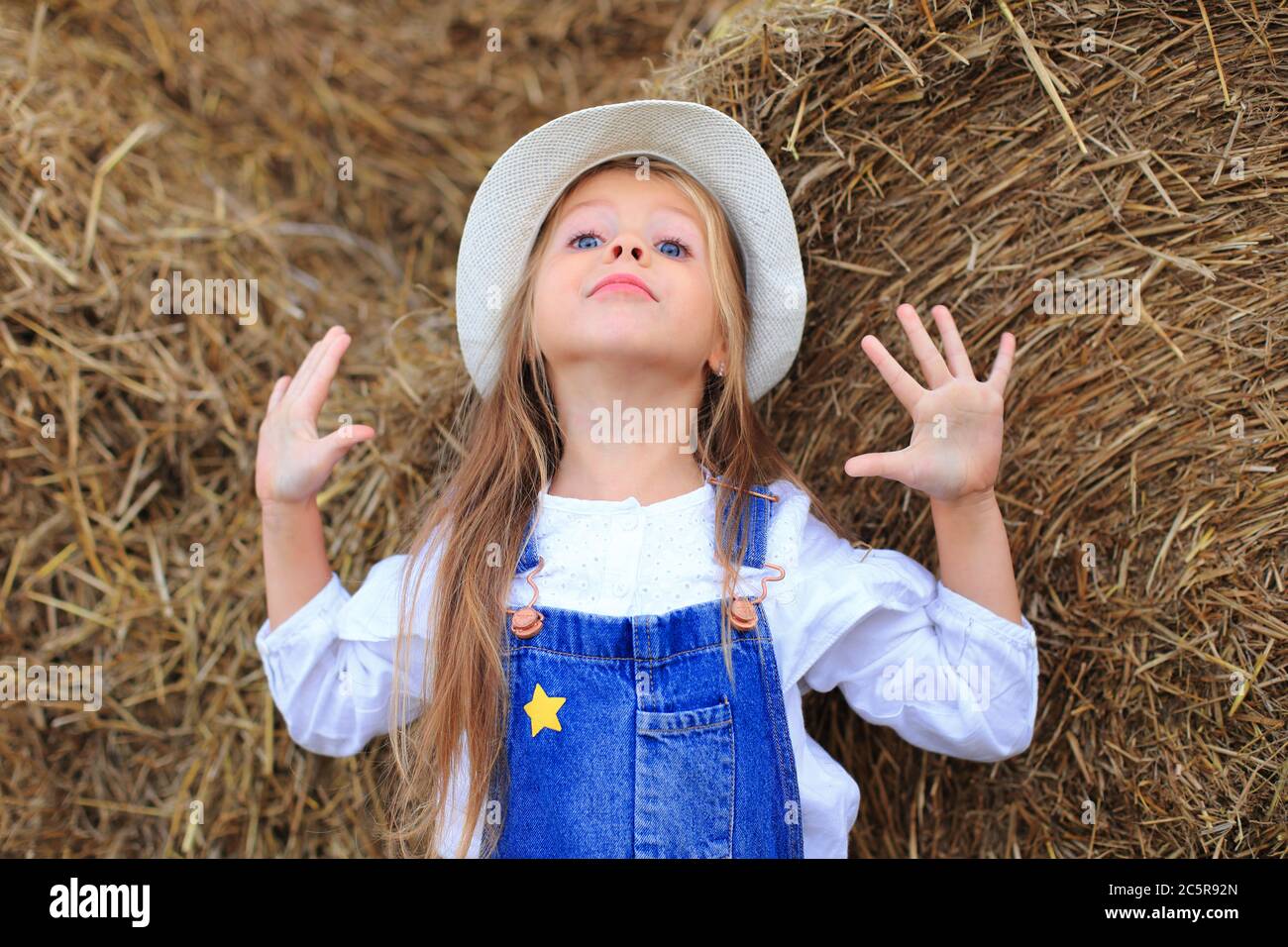 Portrait of a little girl on a haystack in summer Stock Photo - Alamy