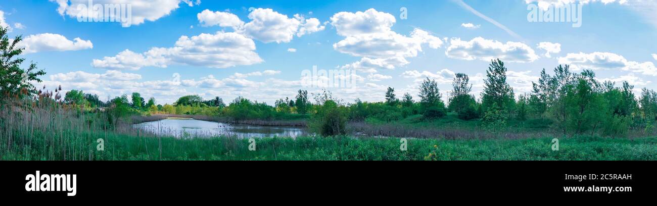 Field of various lush green prairie grass surrounding a small pond on a partly cloudy day. Stock Photo