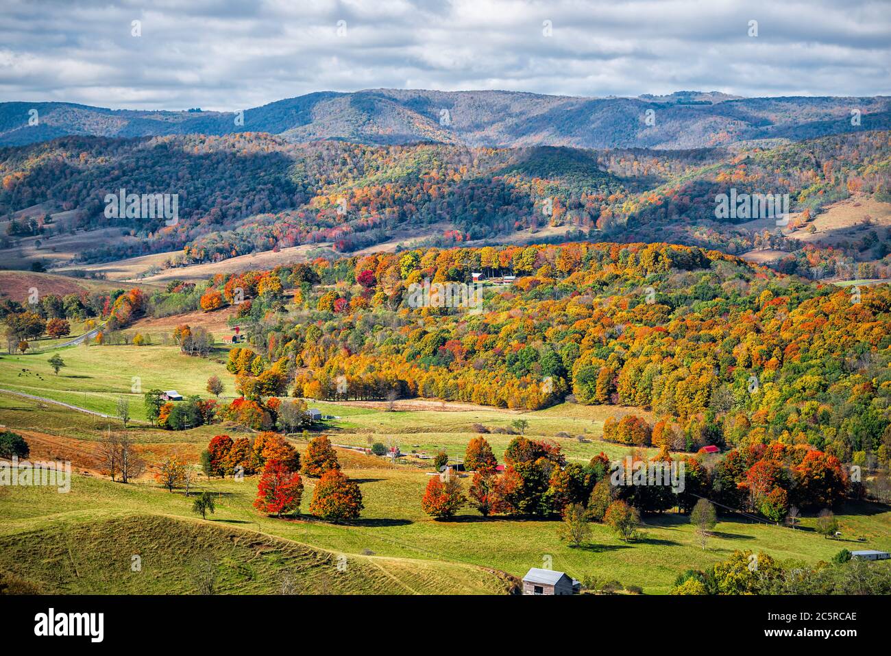 Autumn fall orange red colorful trees forest and farm houses buildings on rolling hills aerial above high angle view landscape in Monterey and Blue Gr Stock Photo