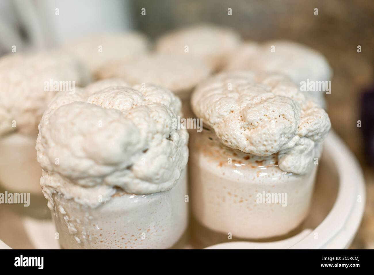 Closeup macro of glass container jars with white cream homemade yogurt in machine maker with yeast contamination problem in probiotic culture Stock Photo