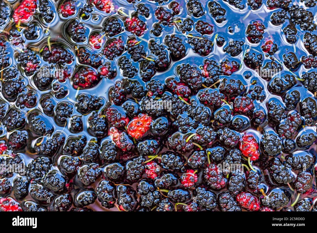 How To Clean Mulberries After Picking Cleanestor