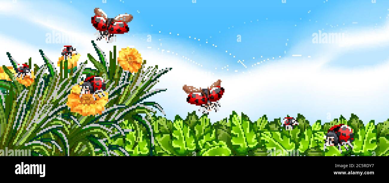 Blank scene with ladybugs in the garden with some flowers at daytime ...