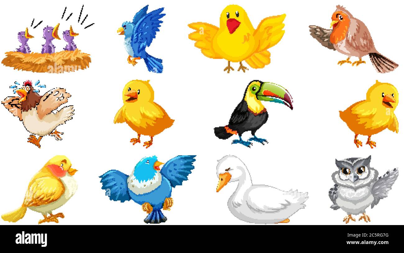 Set of different birds cartoon style isolated on white background ...