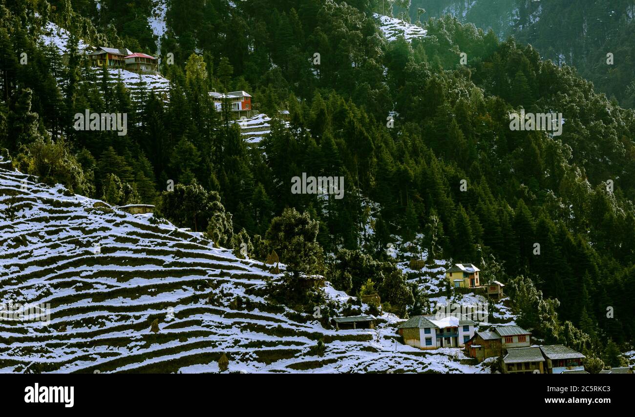 Snow patterns formed on farming fields in the Himalayan mountains in winter Trek to Dalhousie, Himachal Pradesh. Colorful, vibrant Landscape. Stock Photo