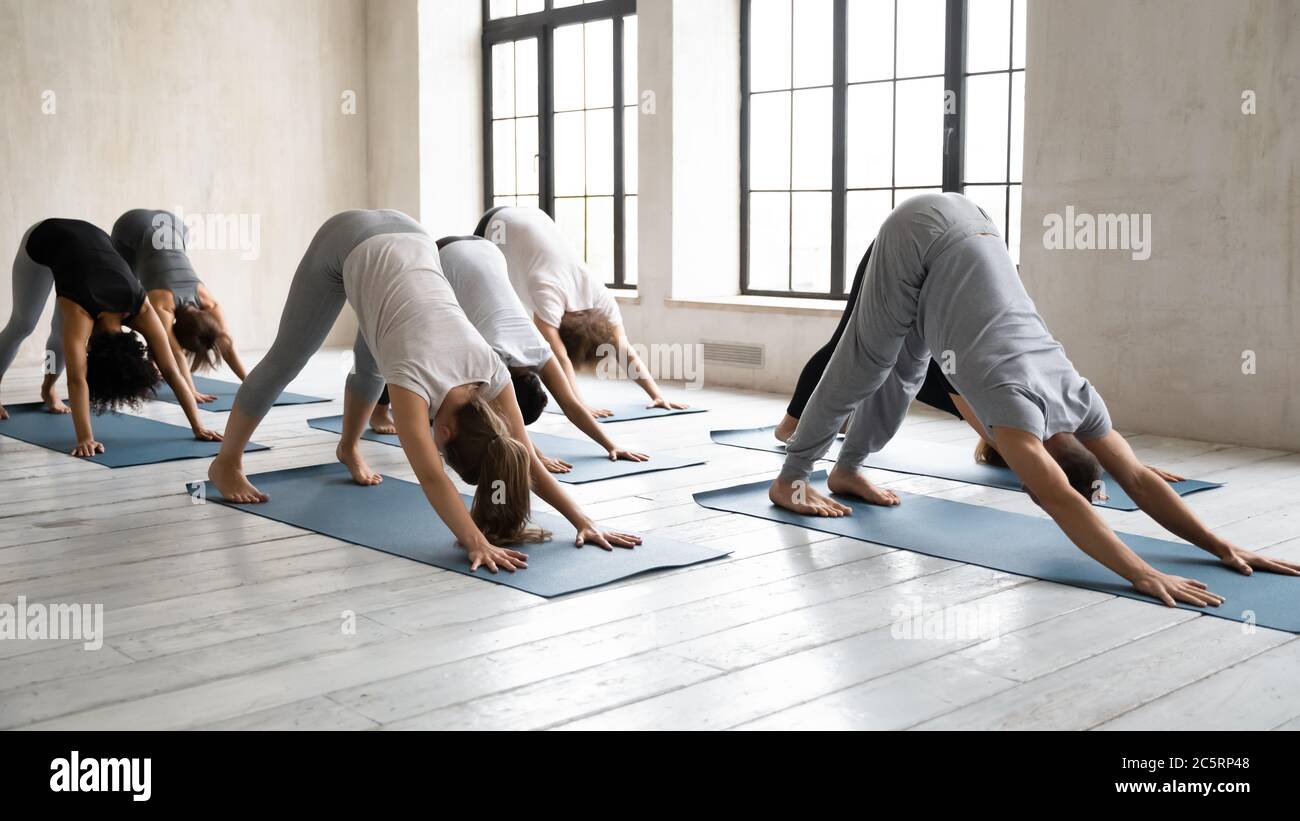 Downward facing dog man hires stock photography and images Alamy