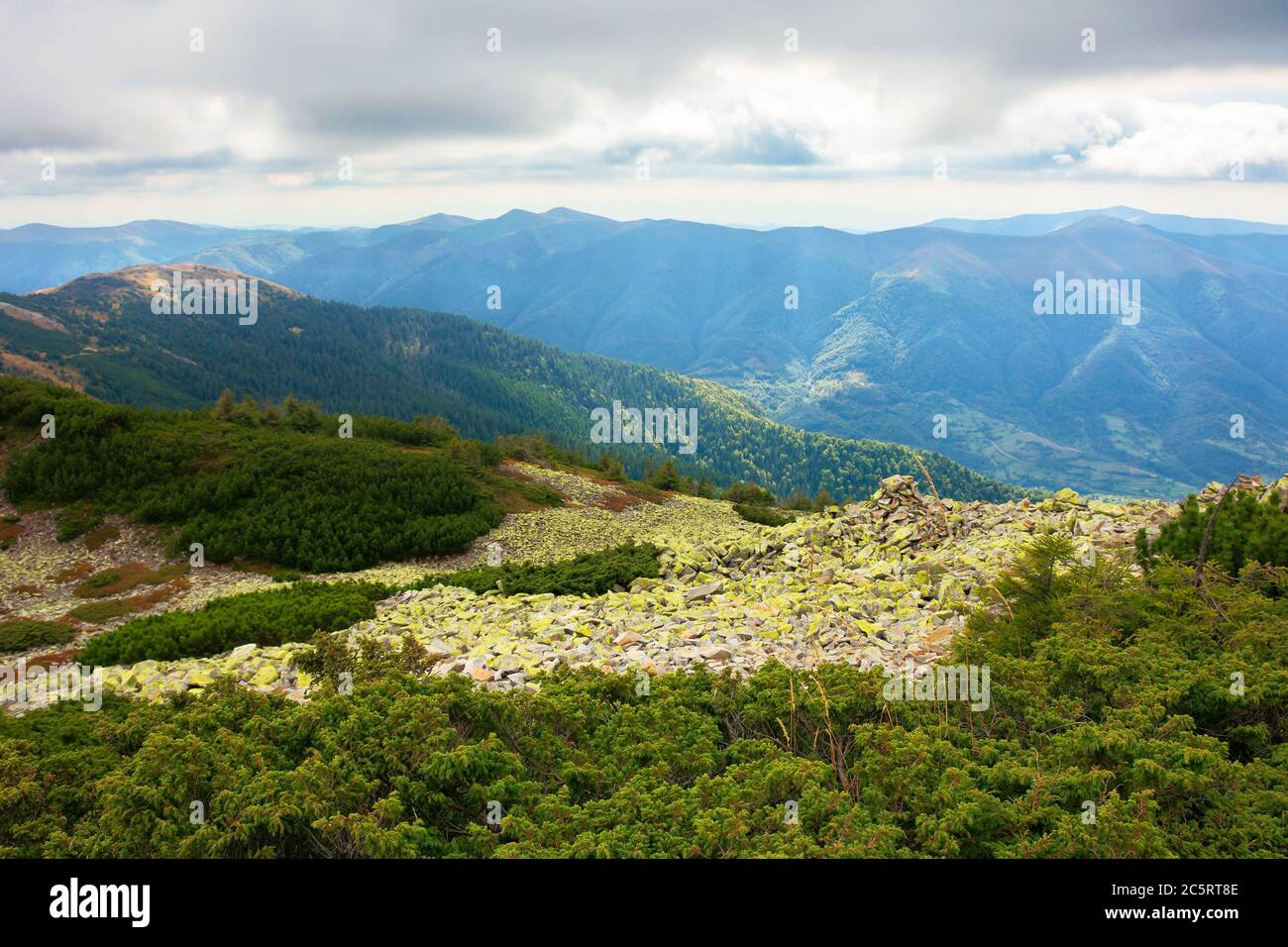 mountain landscape with green stones. juniper tree among the rocks and grass. dramatic nature scenery on a cloudy day. great view in to the distant kr Stock Photo