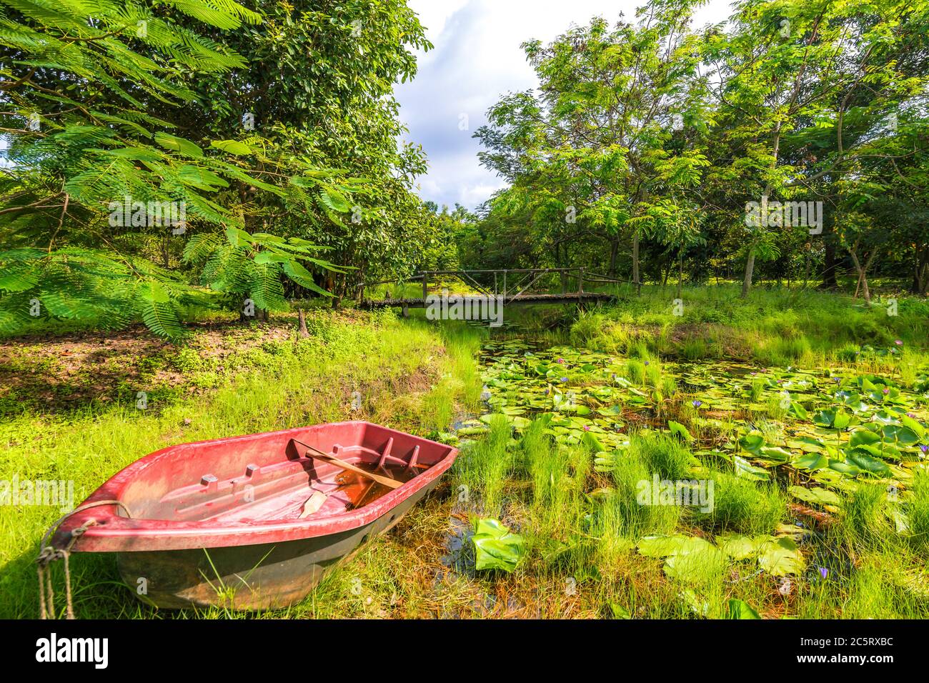 sunny day with pond in the forest. A boat near pond Stock Photo - Alamy