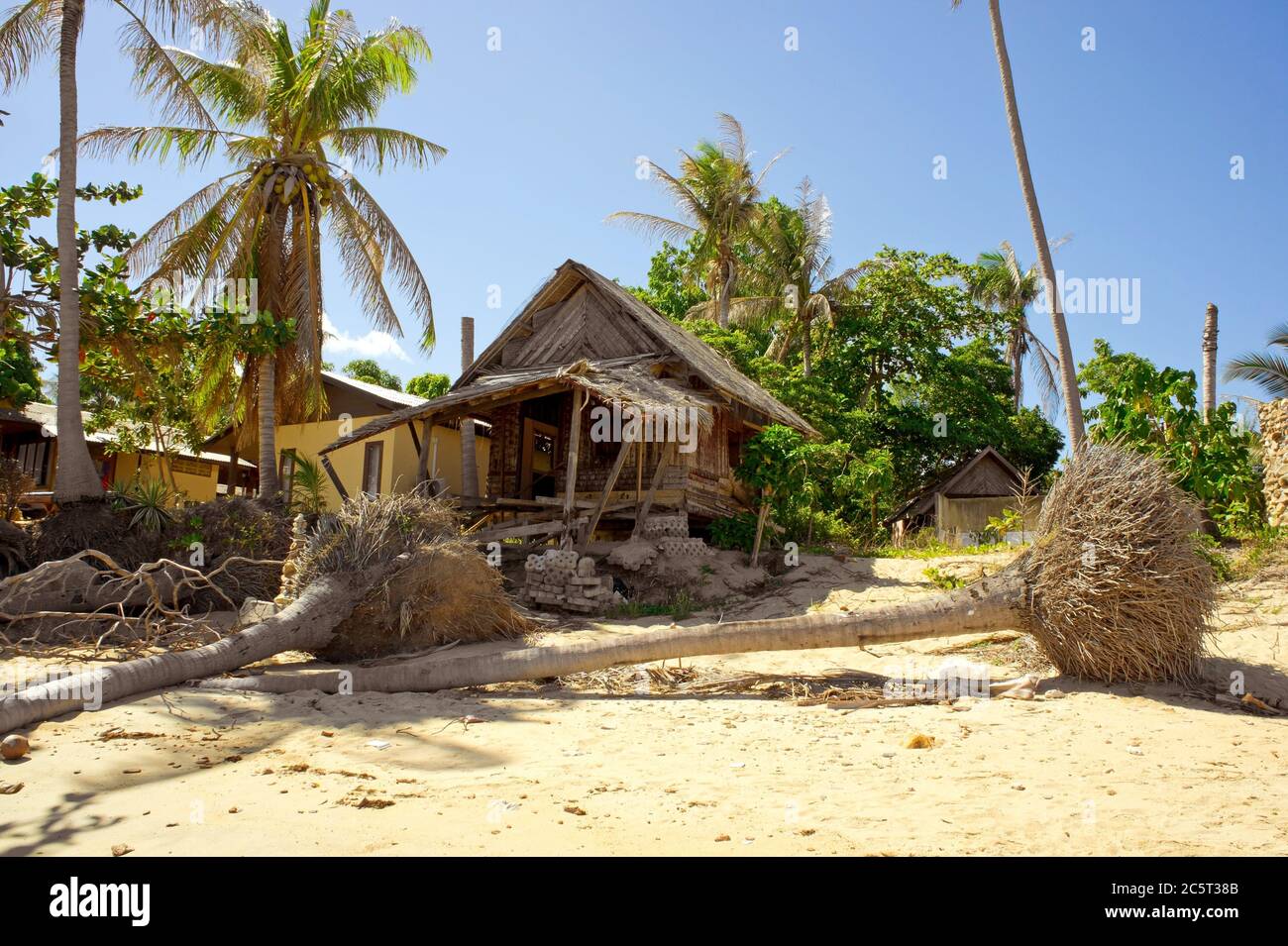 Tropical beach after storm, Koh Samui, Thailand Stock Photo - Alamy