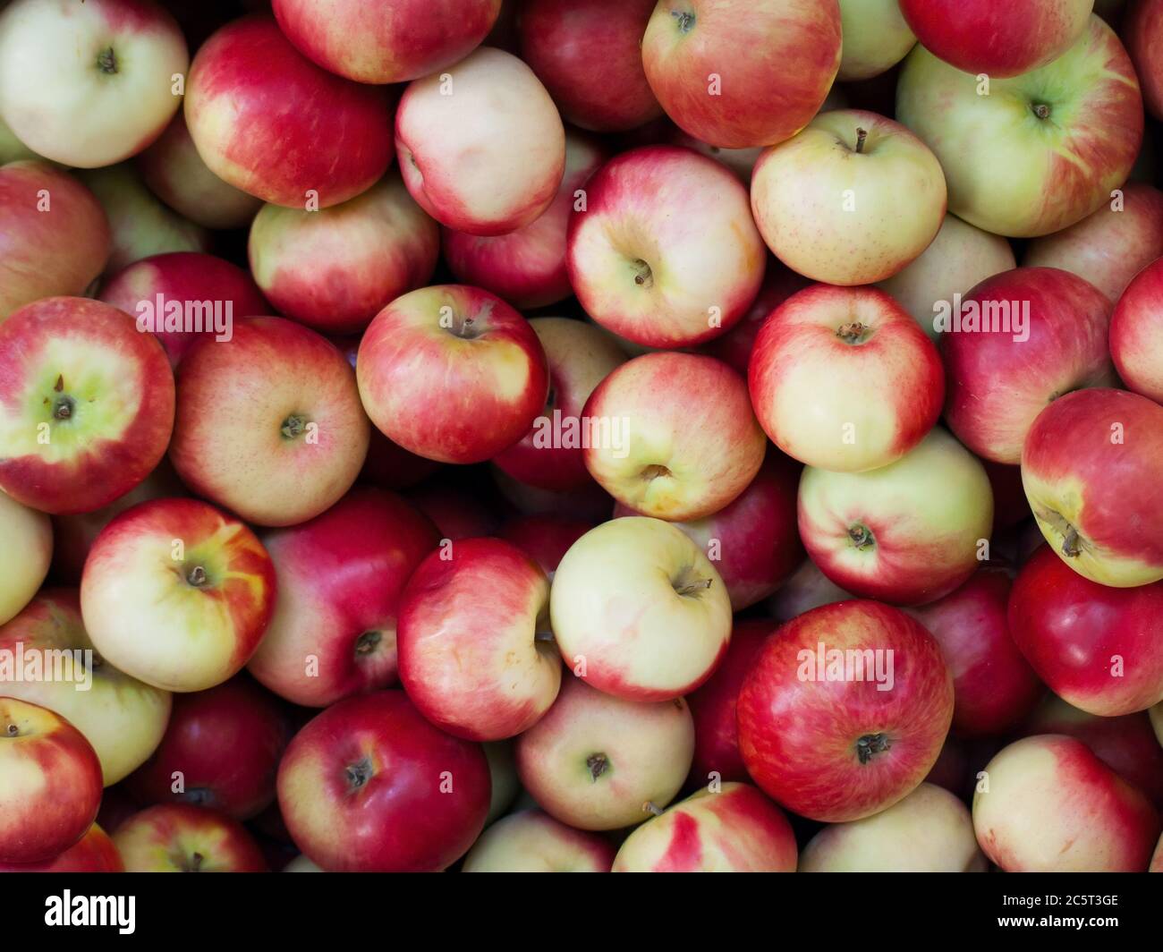 Lots of Red ripe apples background on the street market Stock Photo - Alamy