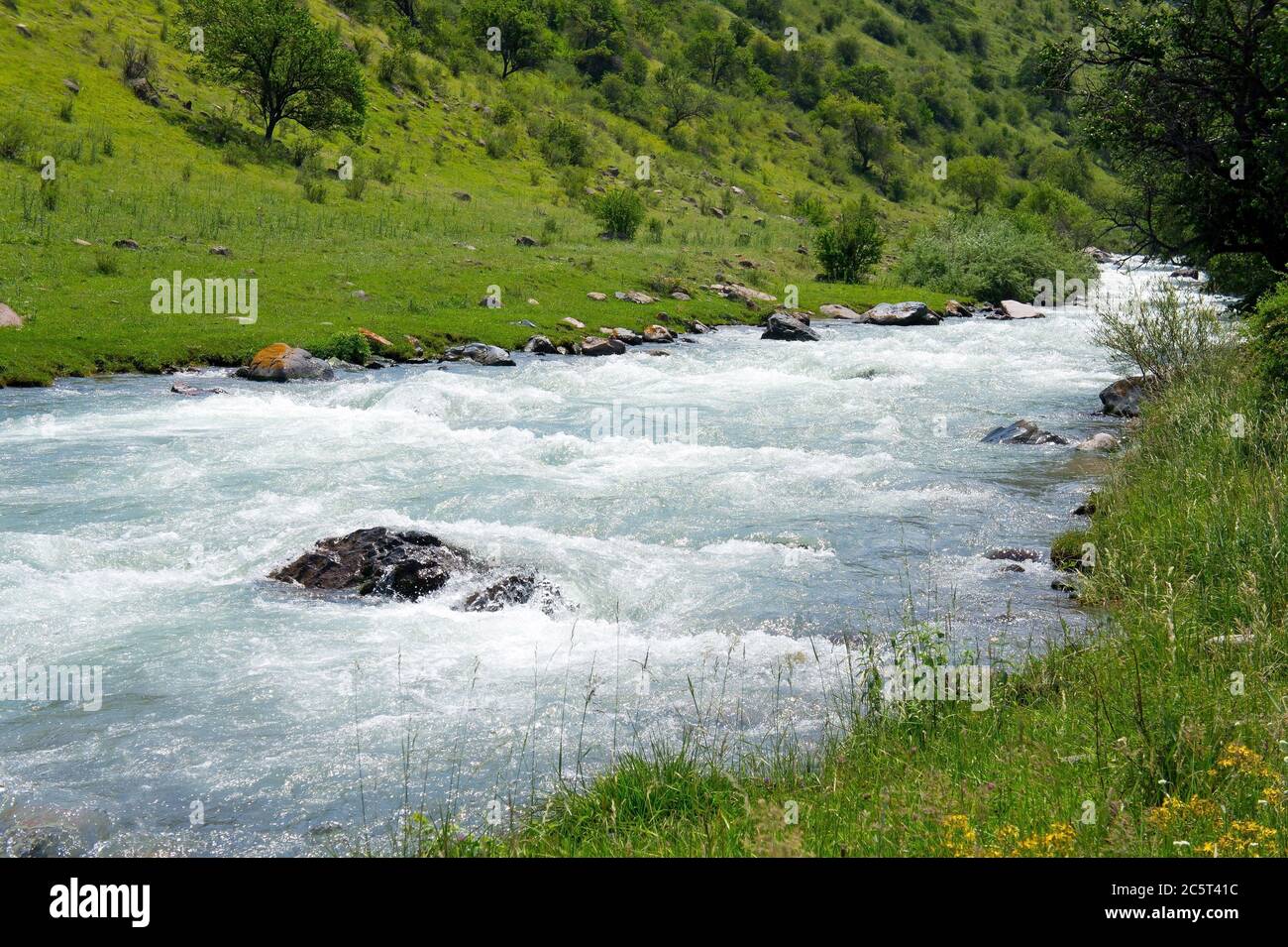 Forest stream running over rocks hi-res stock photography and images ...