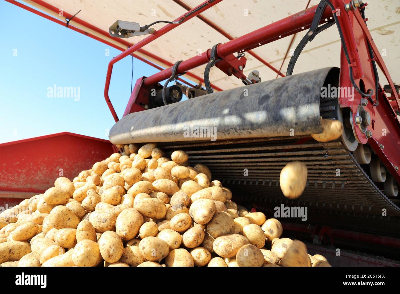 Landwirtschaftliche Kartoffelernte - Agricultural potato harvest Stock Photo