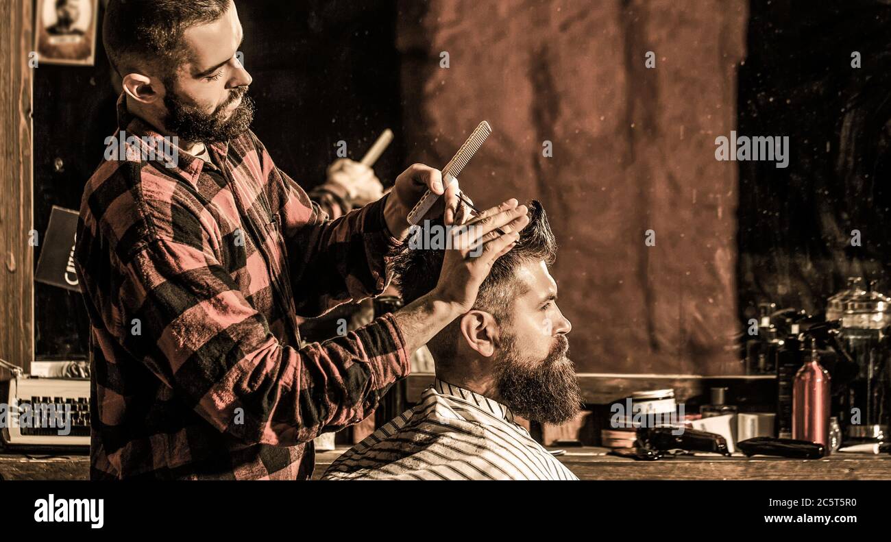 Work in the barber shop. Hairdresser cutting hair of male client ...