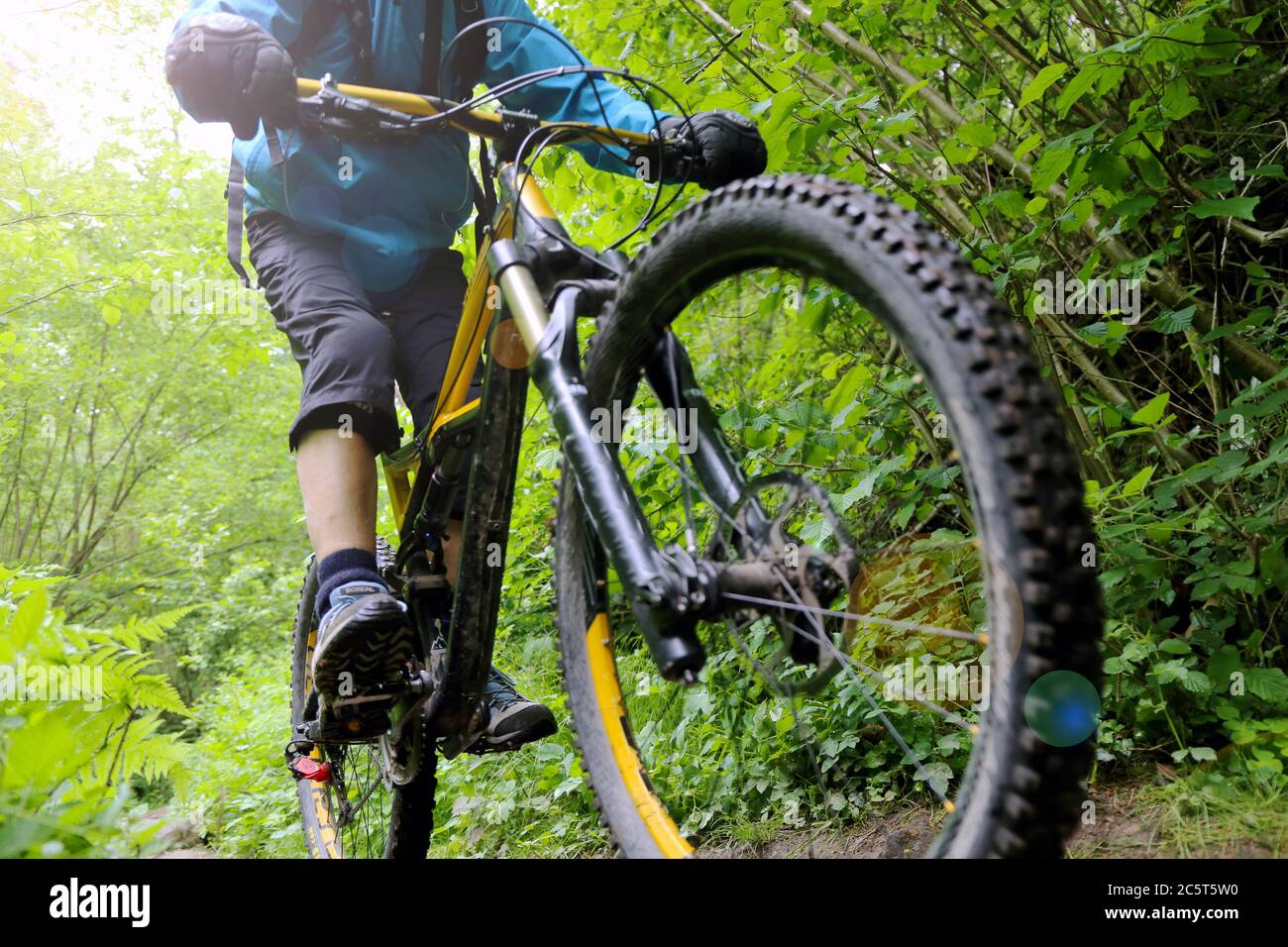 Mountainbiker auf einem schwierigen Trail im Pfälzerwald (Model released) Stock Photo