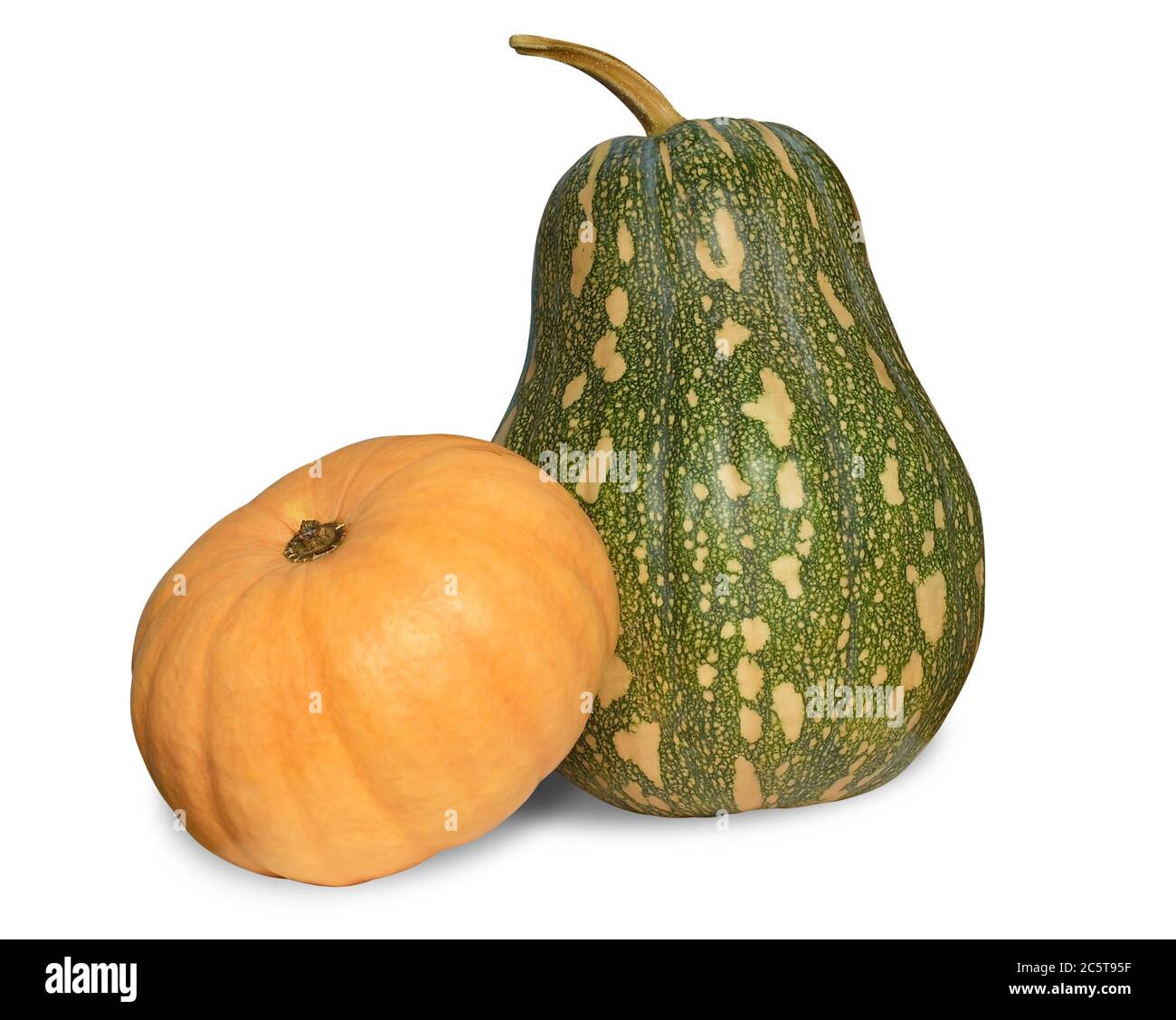Two pumpkins isolated over white with shadow. Clipping path. Stock Photo