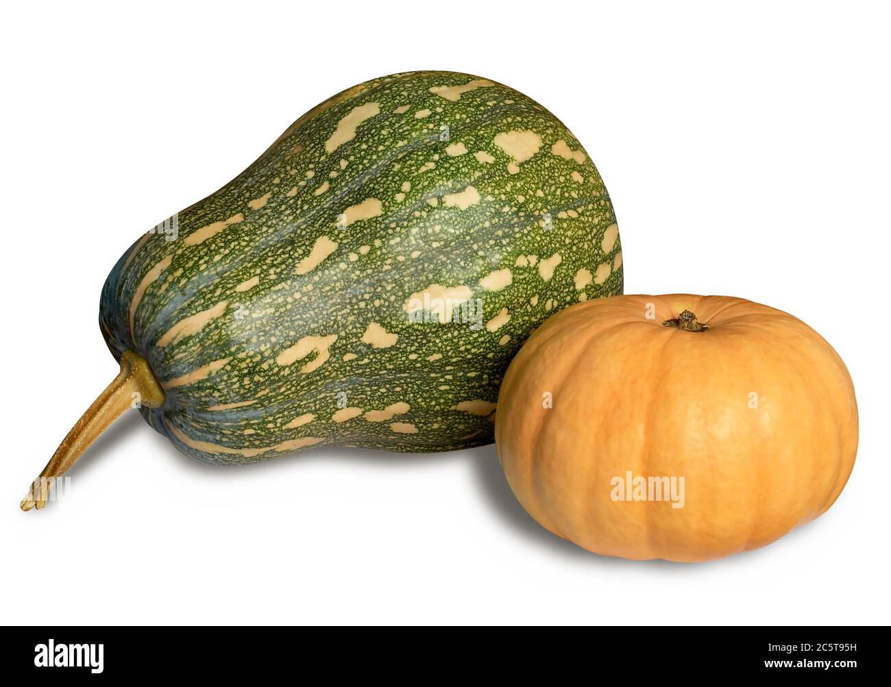 Two pumpkins isolated over white with shadow. Clipping path. Stock Photo