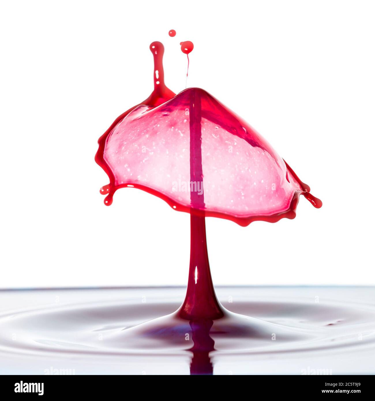 Stunning unique abstract water splash photography images with vibrant ...