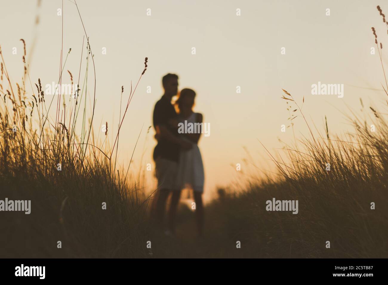 Couple in love watching sunset outdoor in a wheat field at summer. Blurred background, focus on the grass. Stock Photo