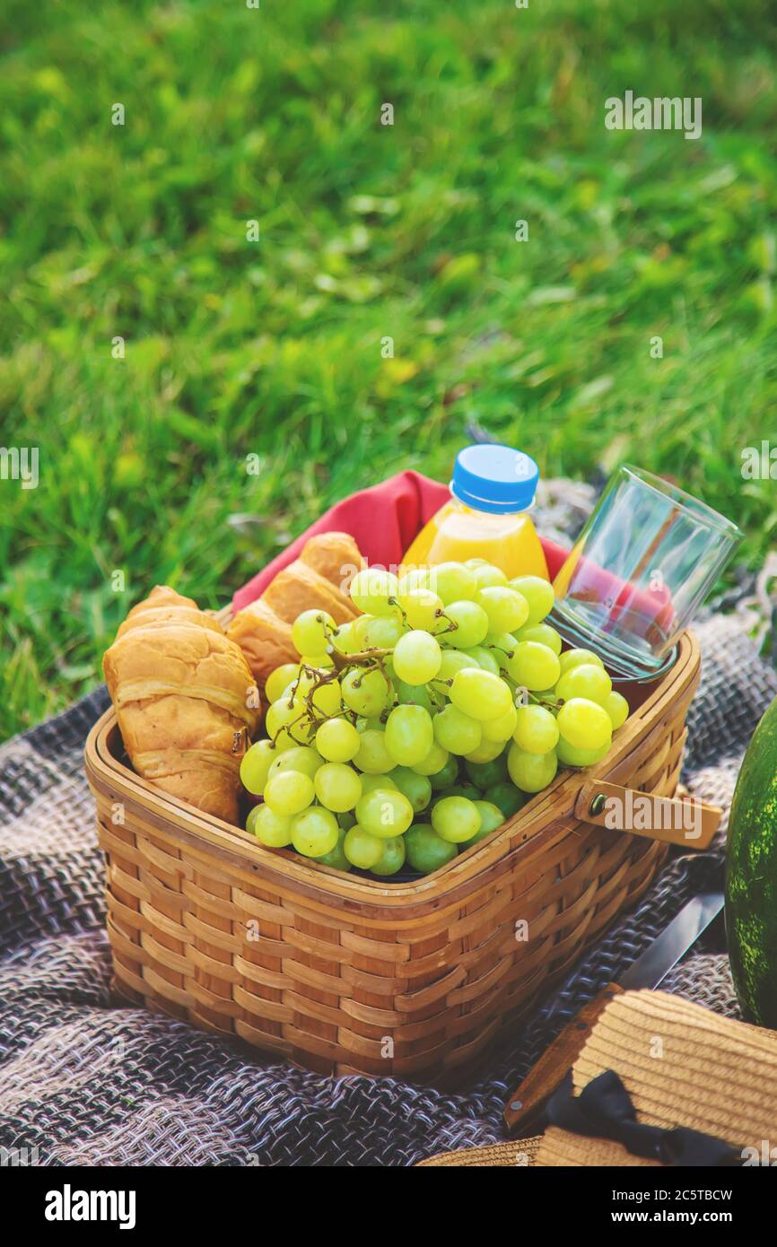 Picnic in nature fruits and watermelon. Selective focus. food. Stock Photo