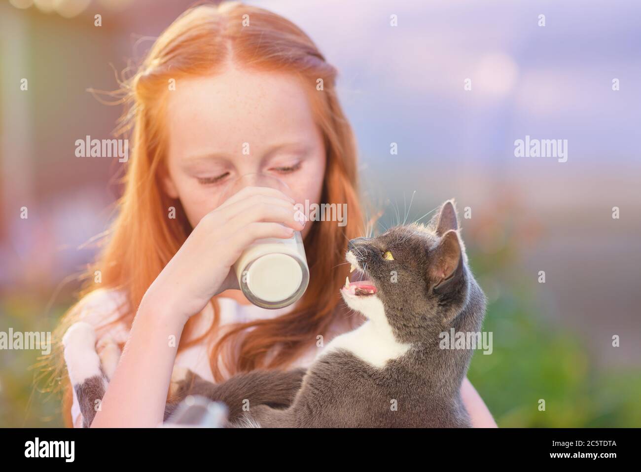 Child drinks milk from glass in nature keeps the cat in his arms. The