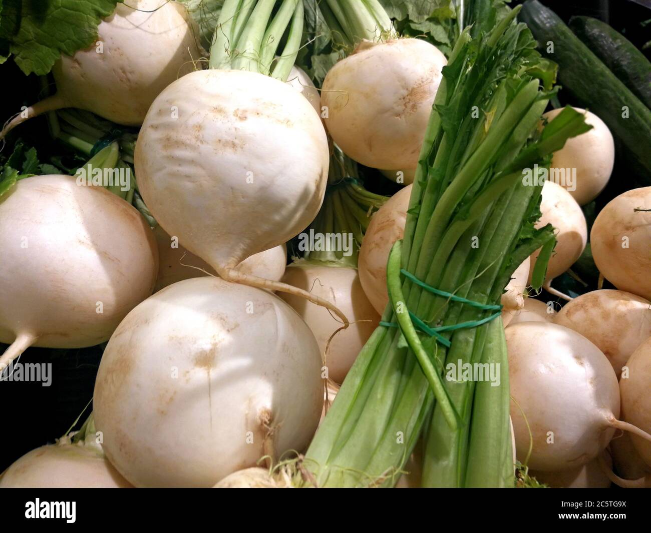 Vegetable - white radish bundled for sale Stock Photo