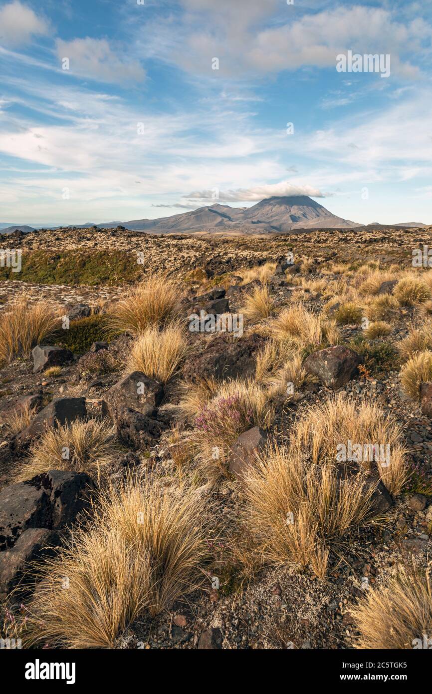 TONGARIRO NATIONAL PARK MANAWAT WHANGANUI NEW ZEALAND visual data 4
