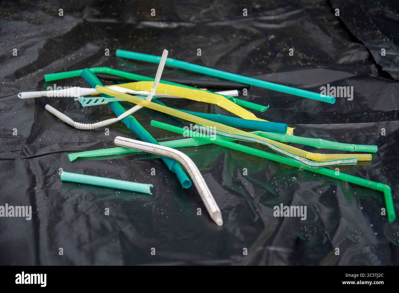 plastic straw trash on the beach on a plastic bag for studies Stock