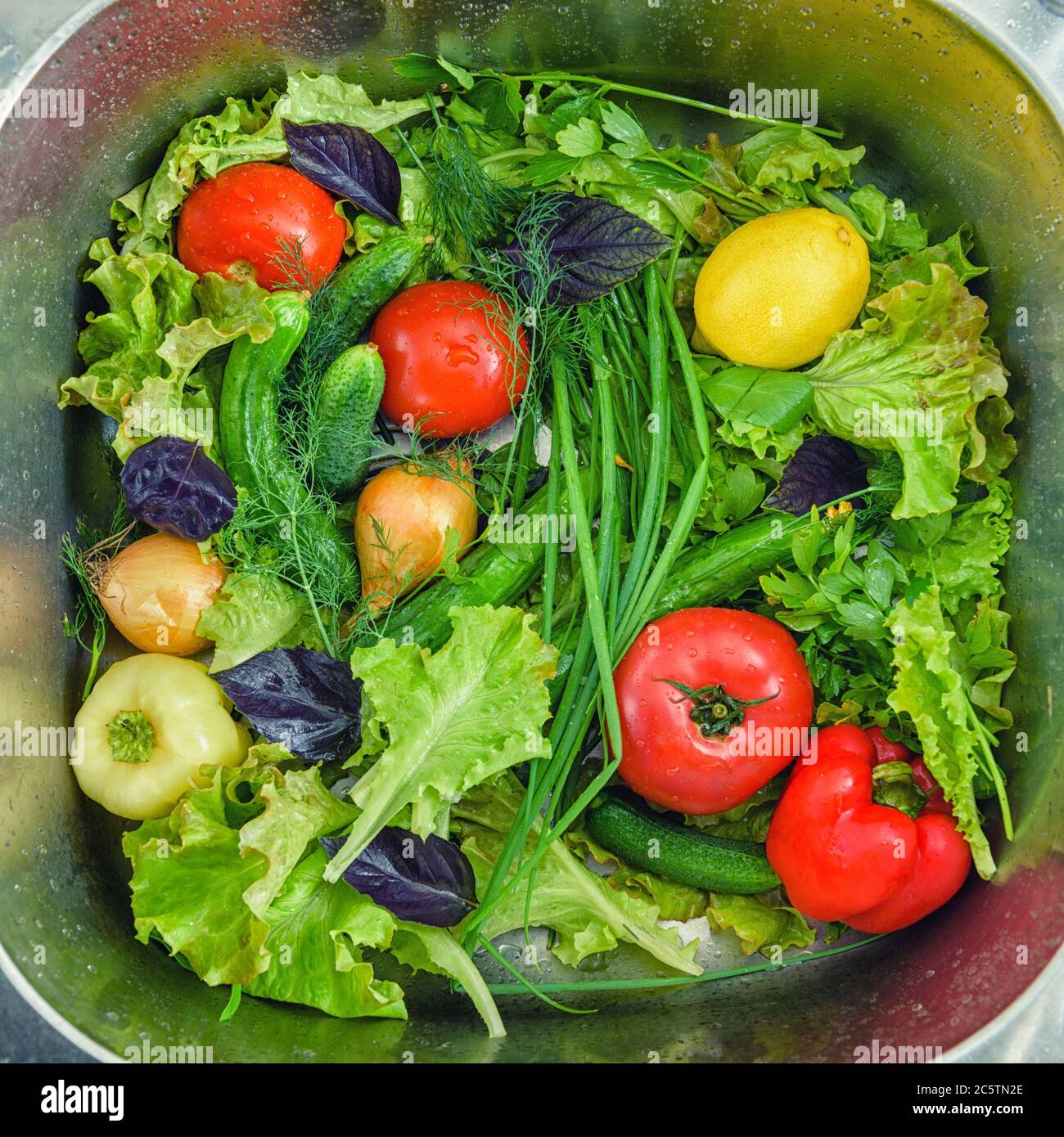 Purchased vegetables in the store need to be washed before meals. Photo of vegetables in the kitchen sink in jets of water. Group of fresh vegetables Stock Photo