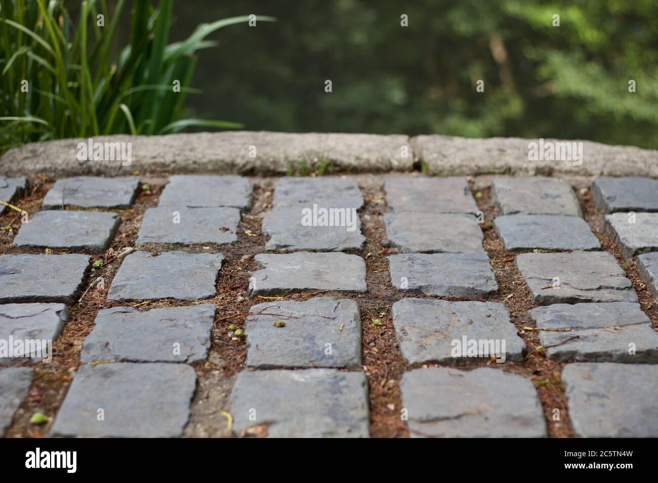 Background of close up of rows of cobblestones with greenery behind Stock Photo