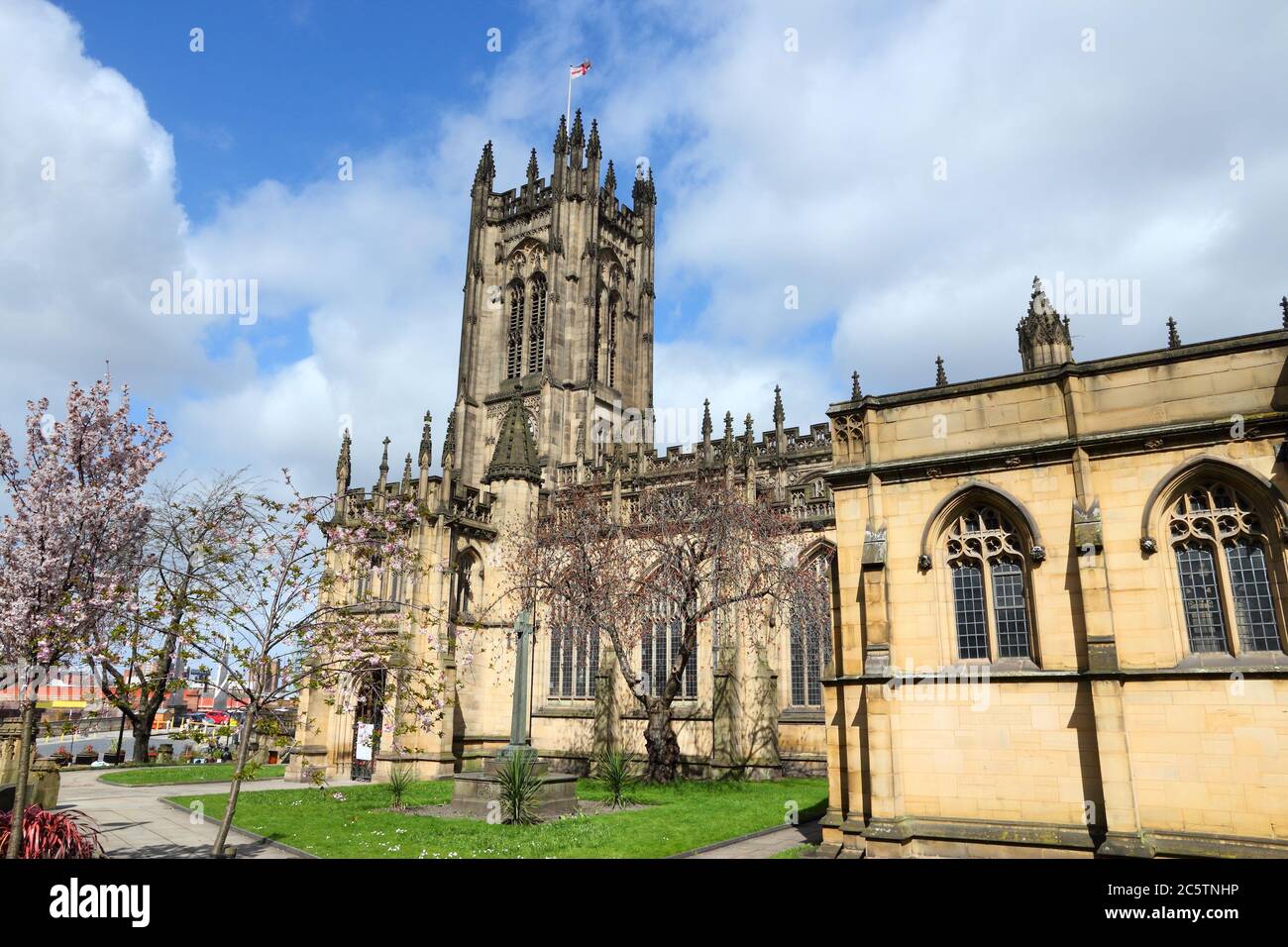 Manchester, UK - Anglican Cathedral. Spring time cherry blossom. City in North West England. Grade I listed building. Stock Photo