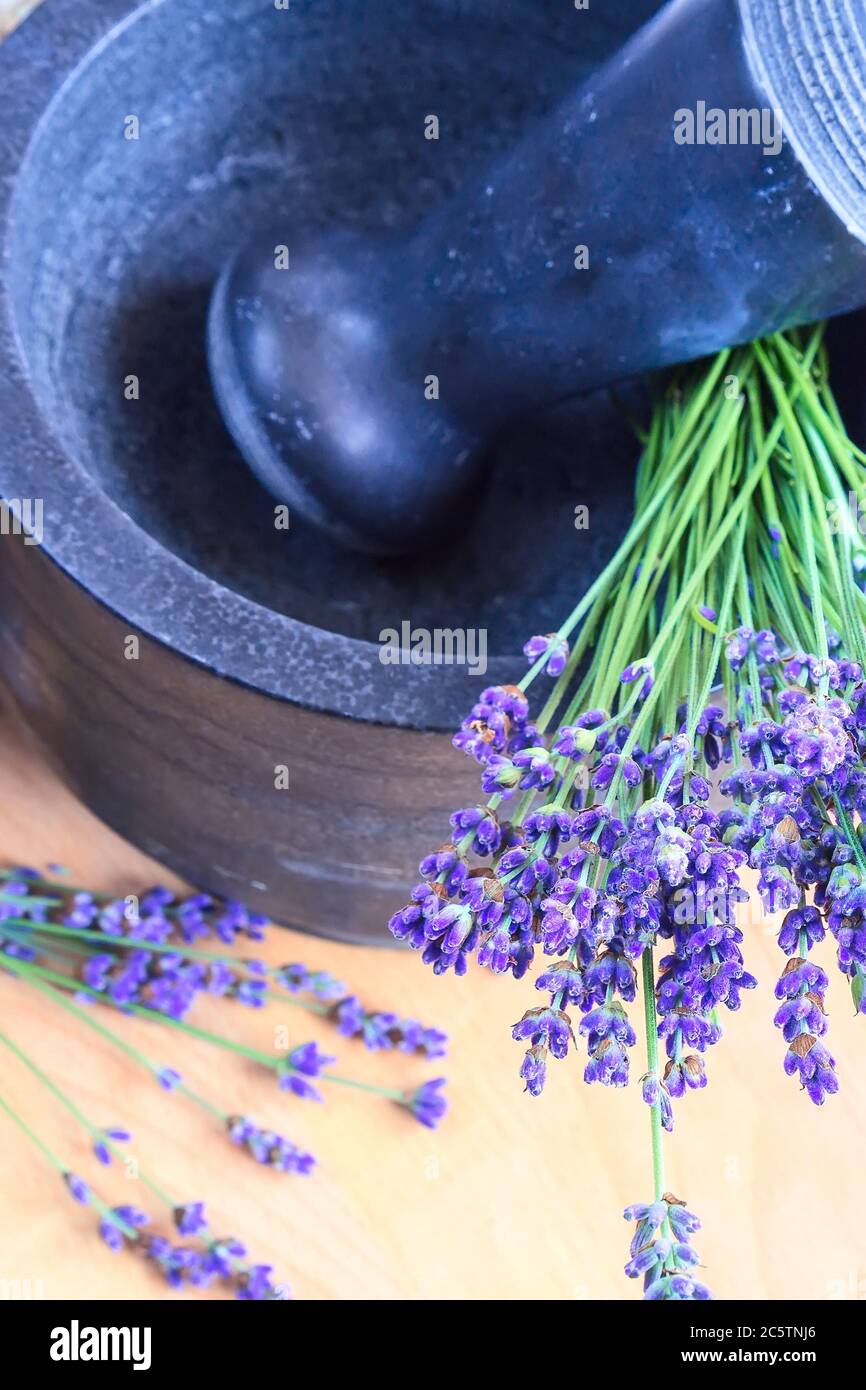 Pestle and mortar with lavender flowers on the table Stock Photo Alamy