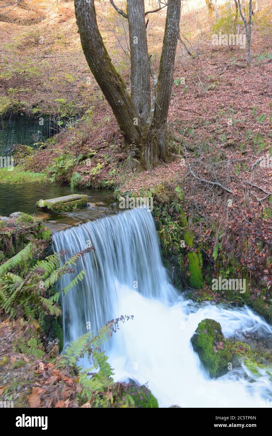 Karuizawa Shiraito Waterfall Japan High Resolution Stock Photography And Images Alamy Karuizawa Shiraito Waterfall Japan High Resolution Stock Photography And Images Alamy