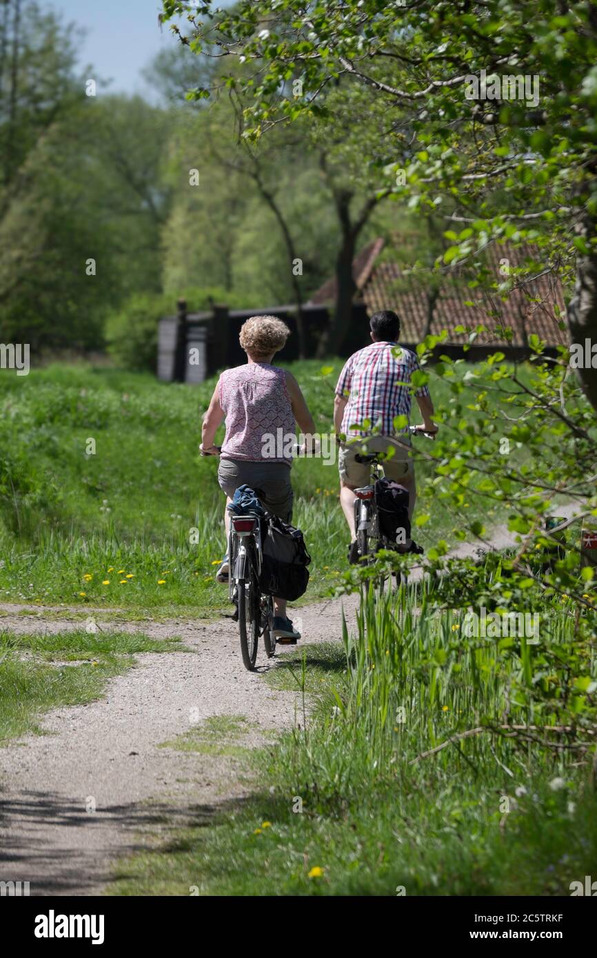 Older couple is cycling together over a forest path in nature reserve Rottige Meente in Munnekeburen Stock Photo