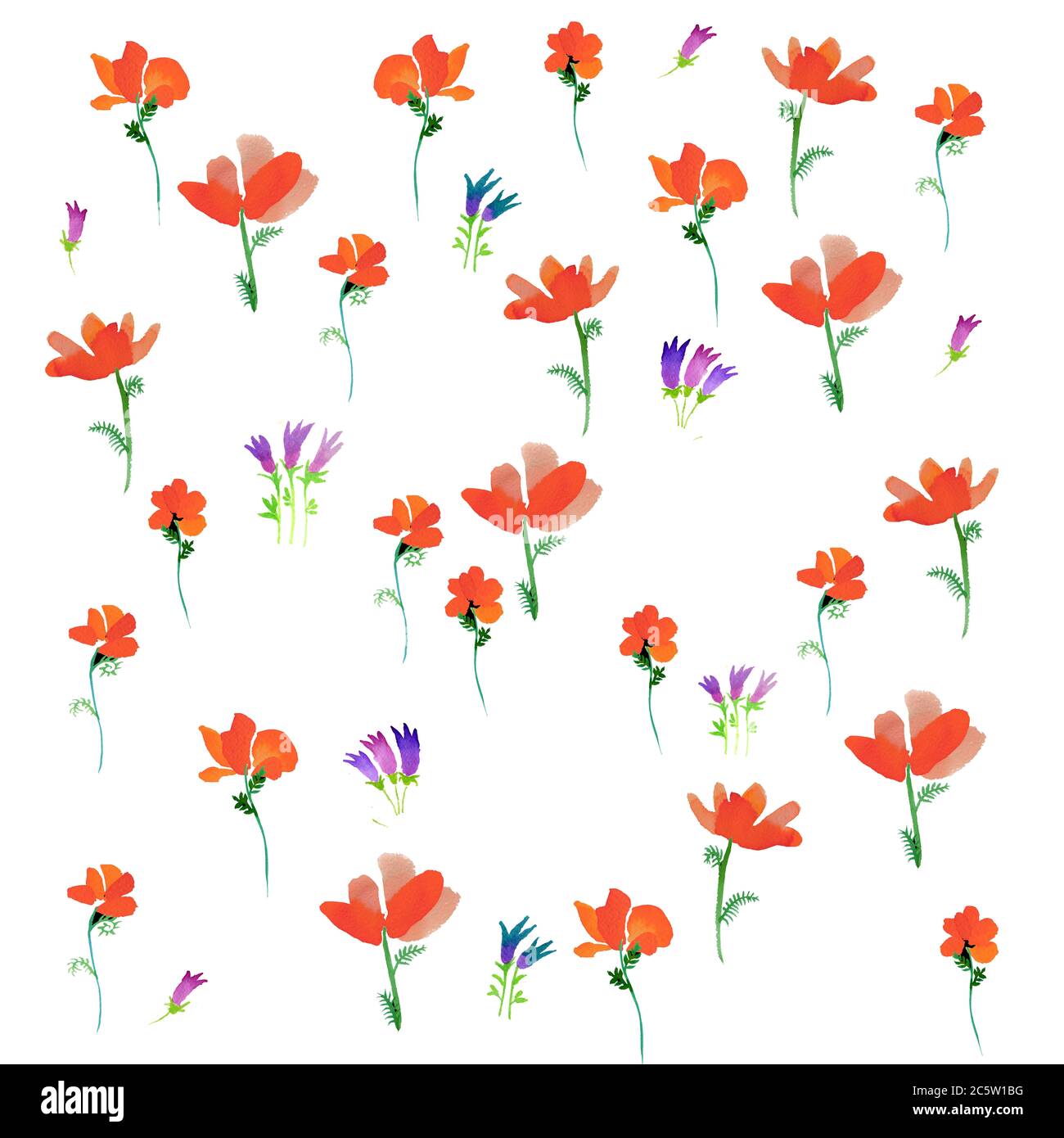 poppies summer pattern watercolor illustration handmade painting red green black Stock Photo