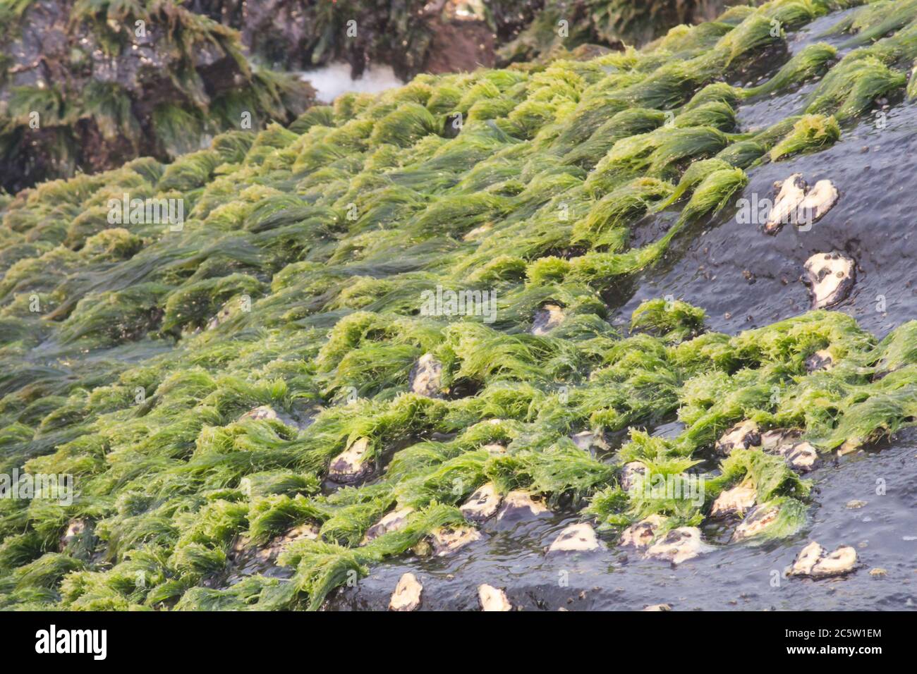 Environmental water resources hi-res stock photography and images - Alamy