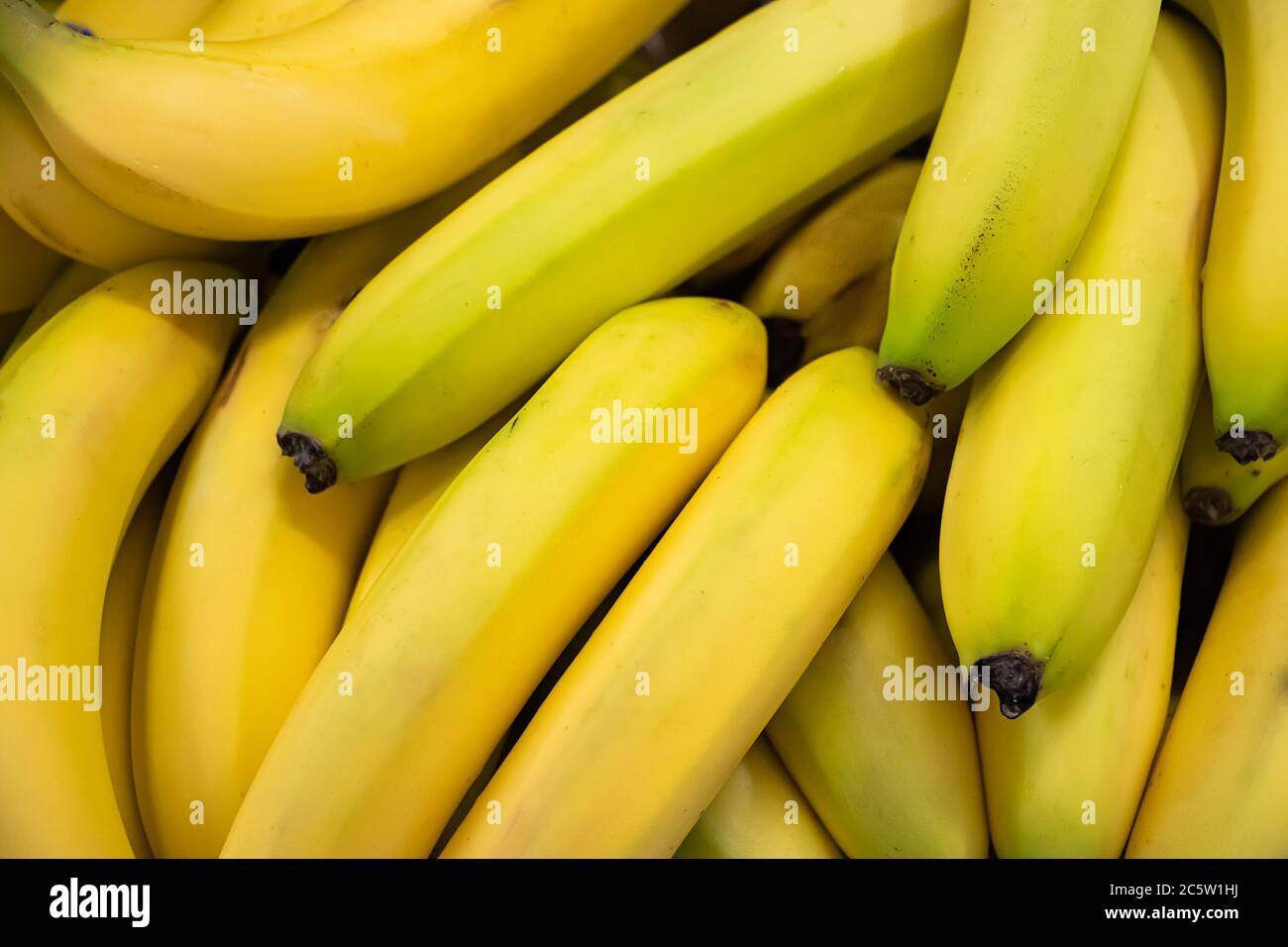Свит банана. Связка бананов. Огромная связка бананов. Связка бананов фото. Бананы на прилавке.